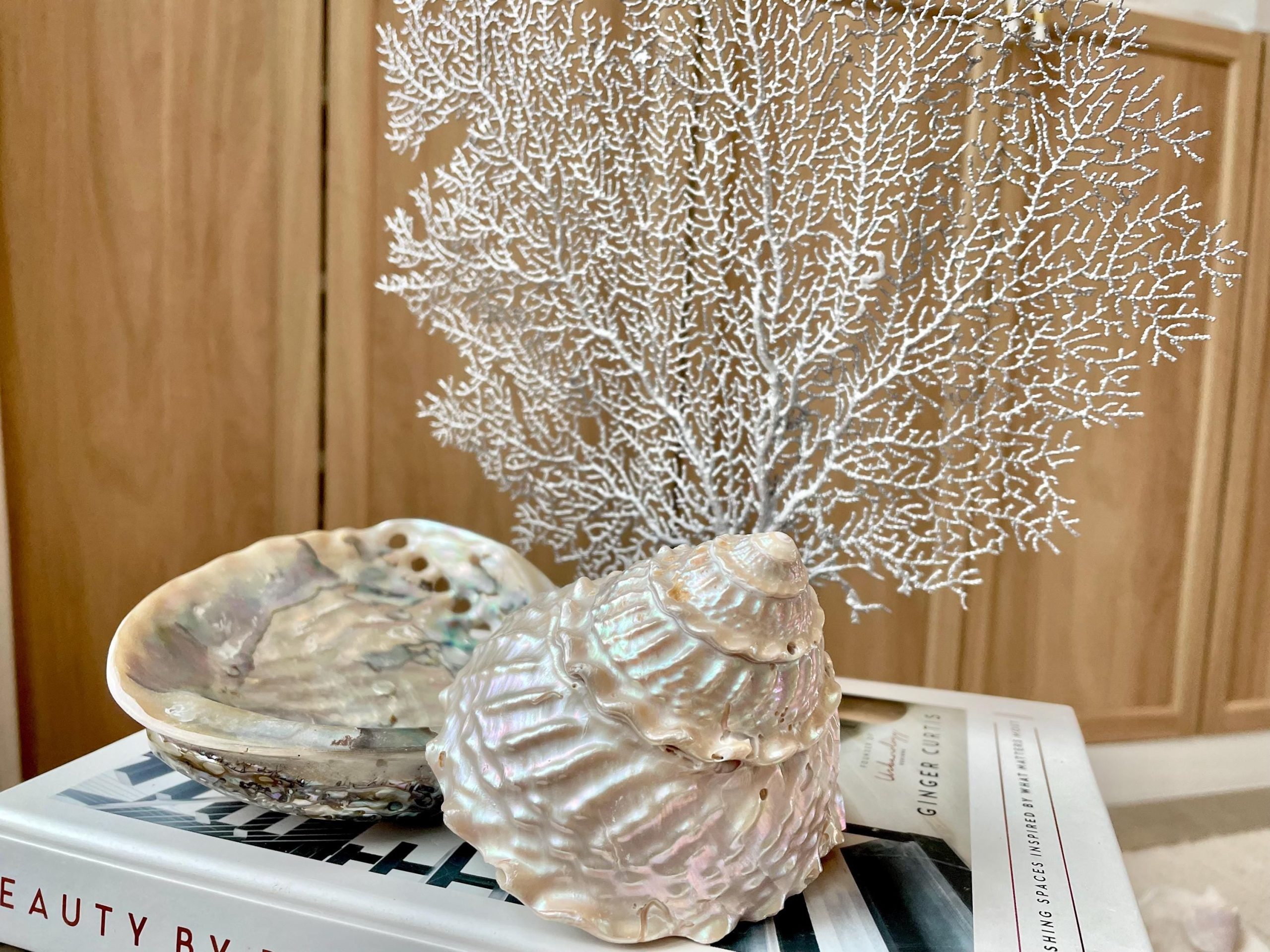 Silver Sea Fan (8-20") *You Choose Size* Natural Hand Painted Coastal Décor - Image 2