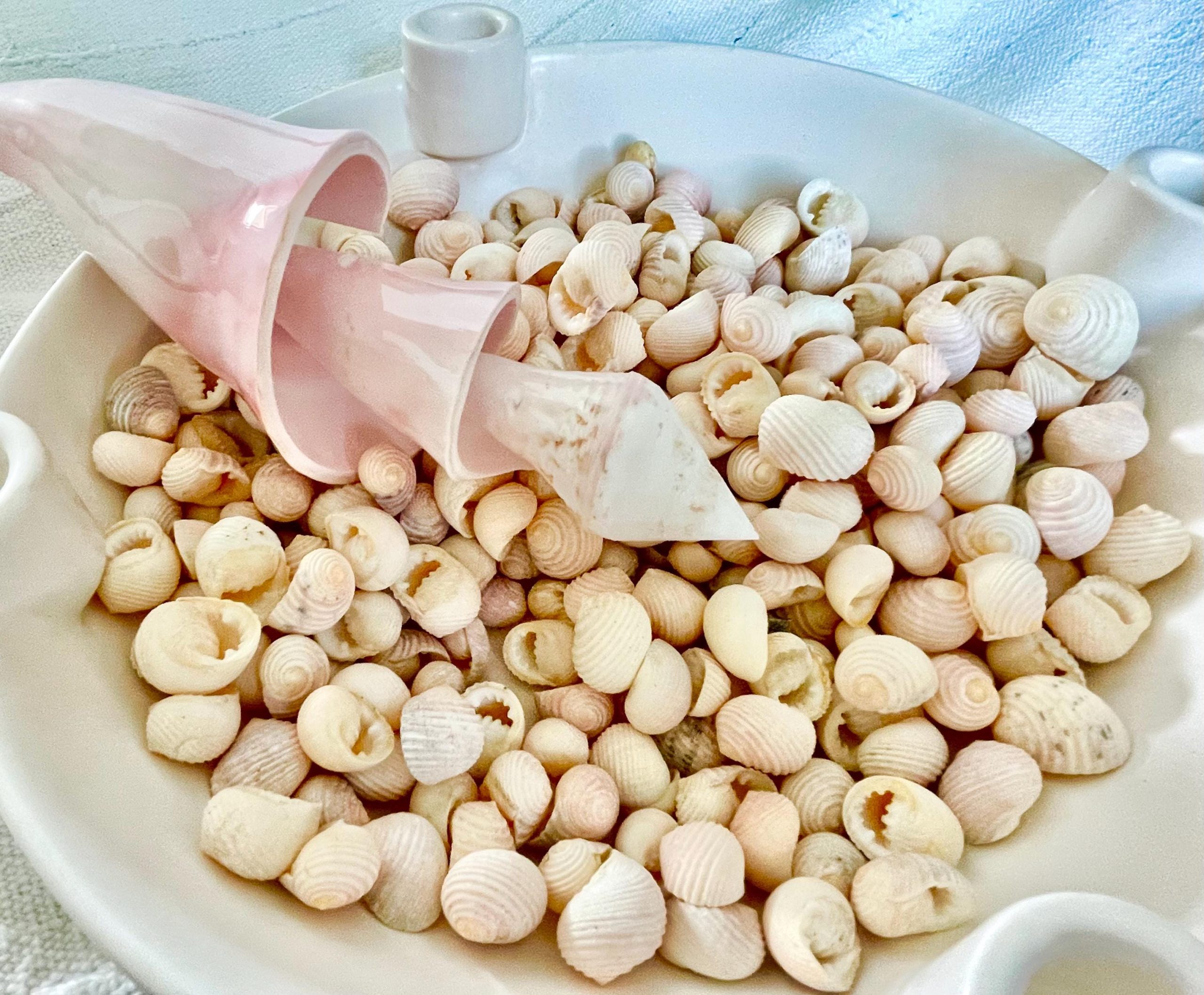 Pleated Nerite Shells 1/2"-3/4" *You Choose Quantity* Small Pink Ribbed Craft Seashells - Image 7