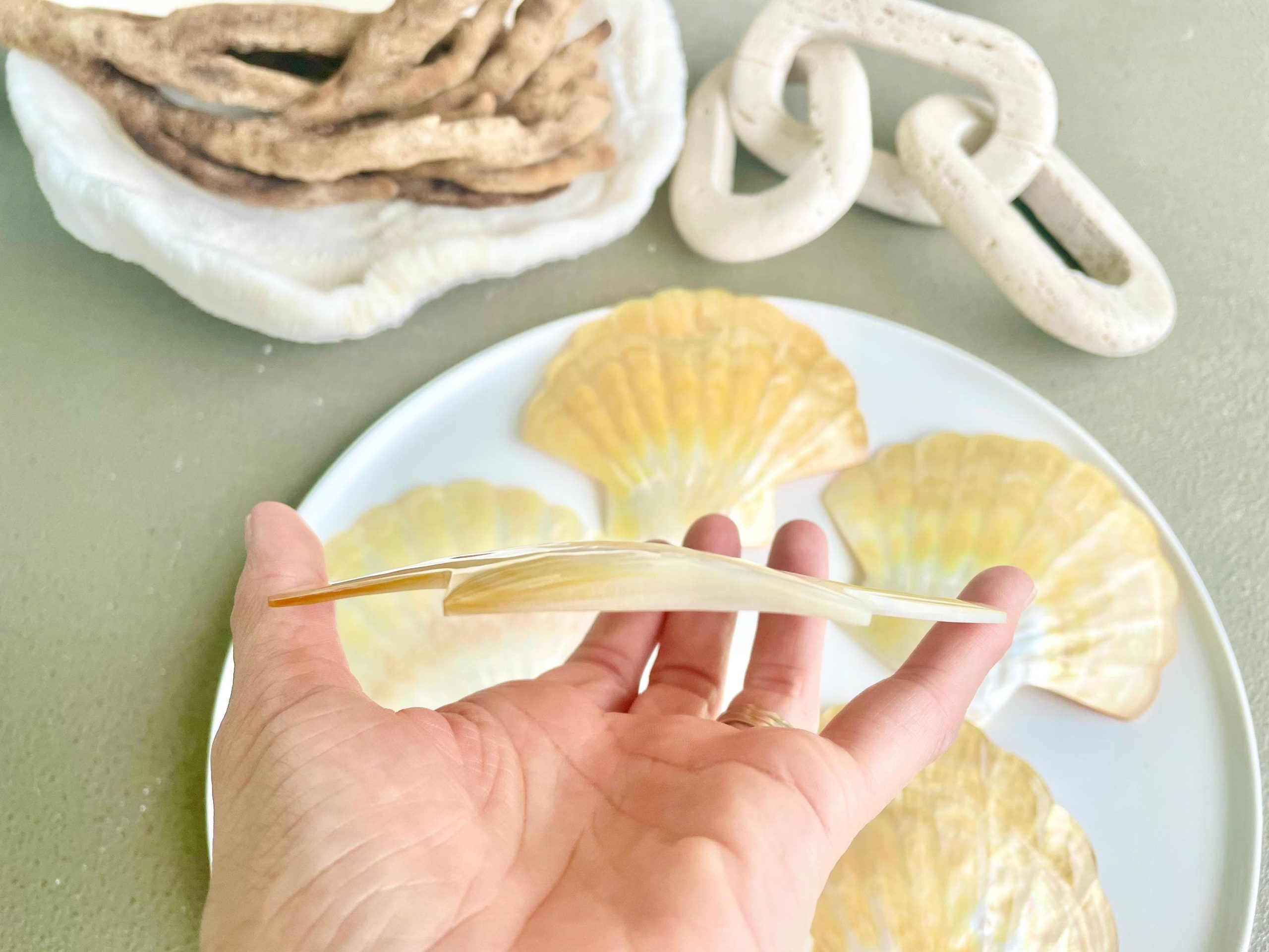 Golden Mother of Pearl Scallop Shell: 5" Gold Lip Coastal Craft Seashell - Image 4