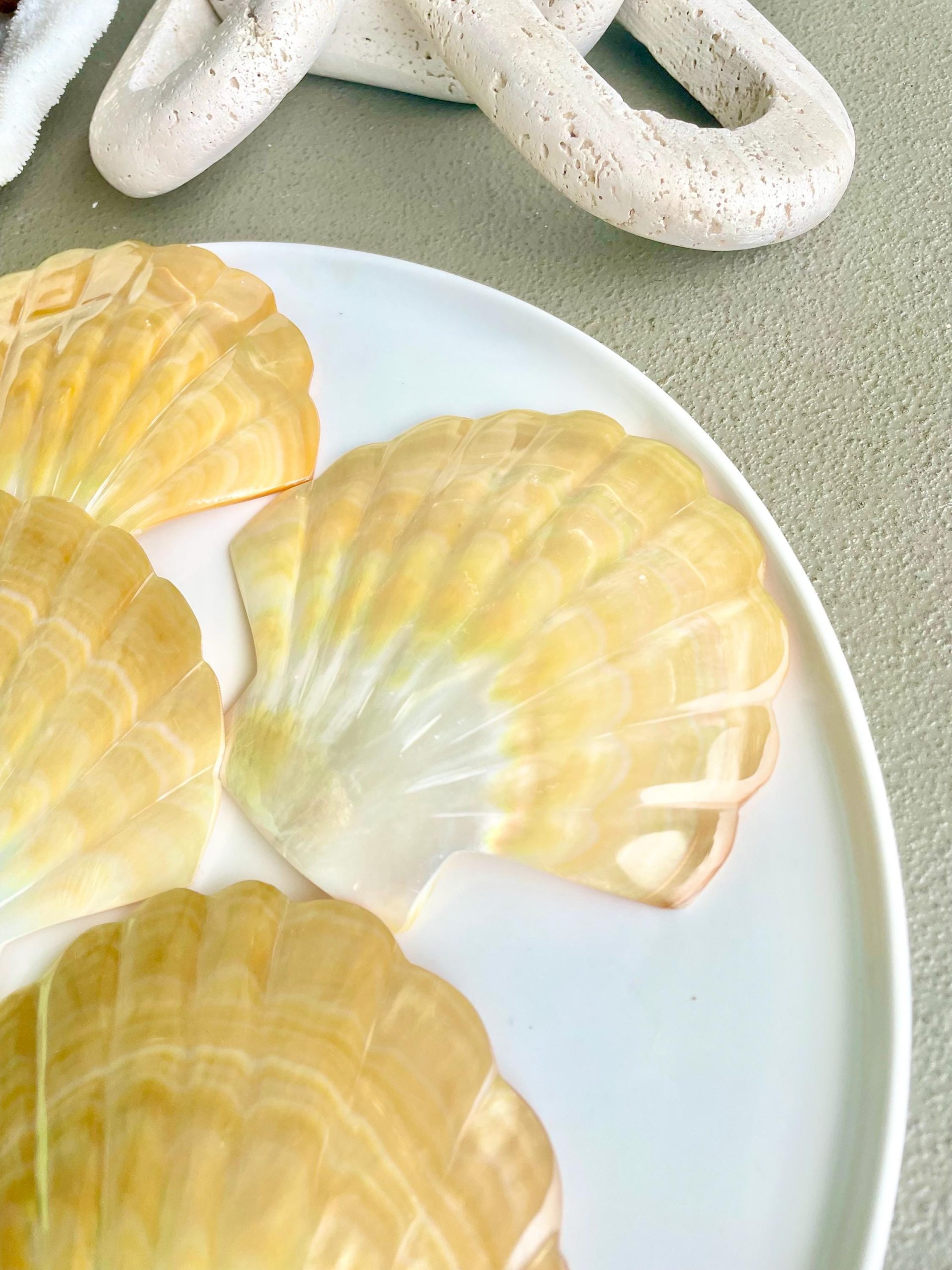 Golden Mother of Pearl Scallop Shell: 5" Gold Lip Coastal Craft Seashell - Image 5