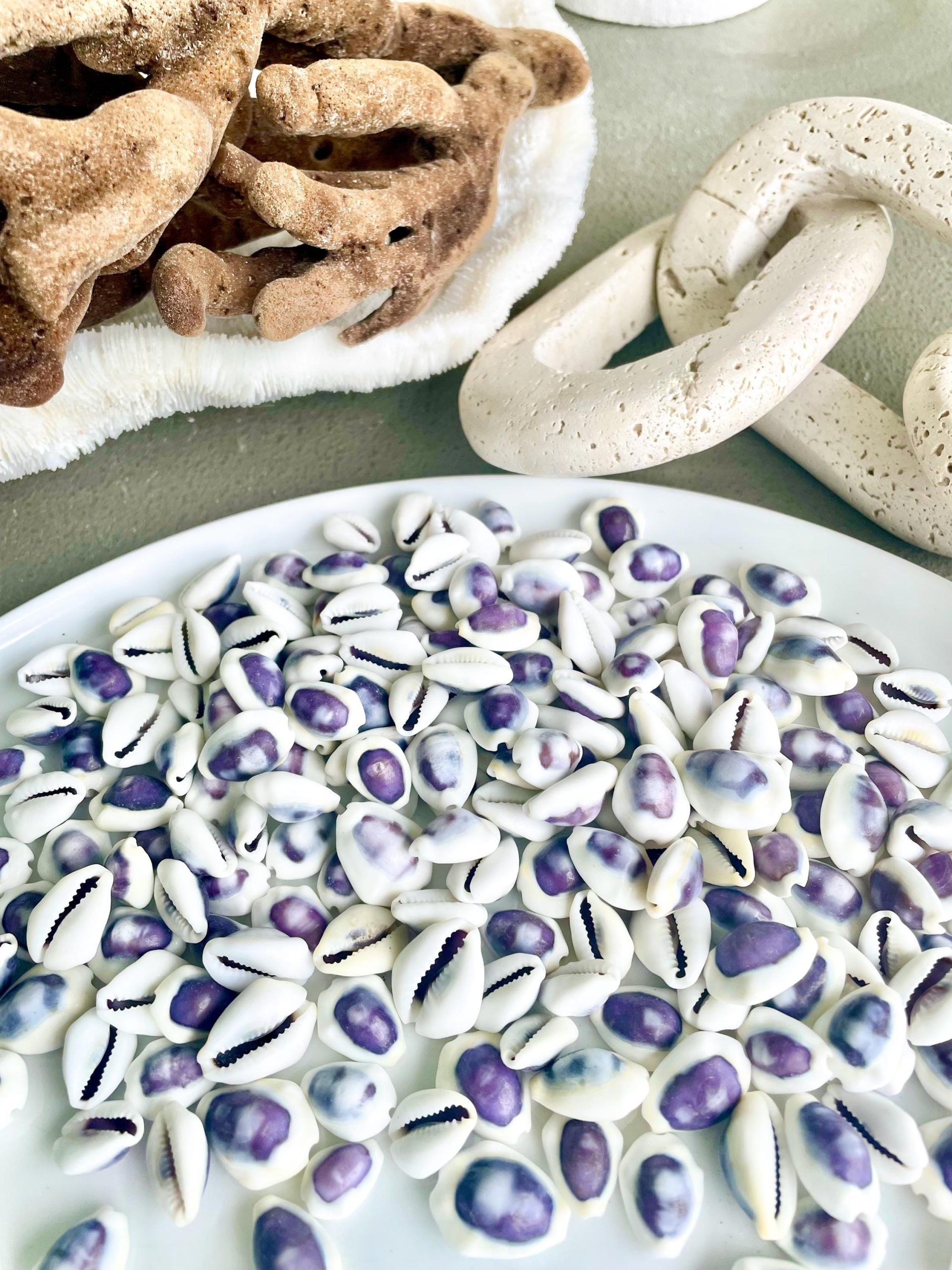 Purple Top Money Cowrie Shells *You Choose Quantity* .5-1" White Small Craft Seashells - Image 5