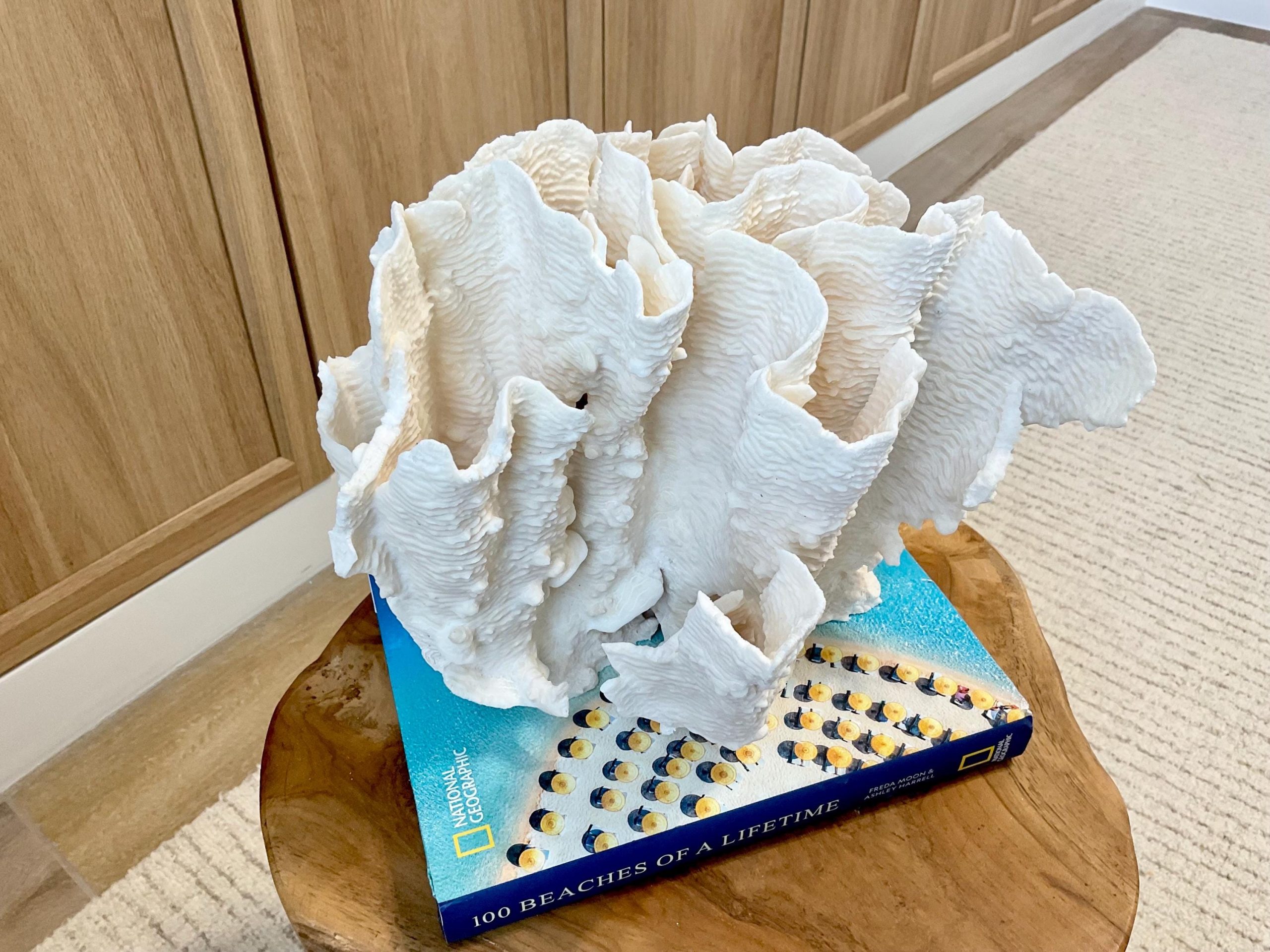 Natural Rugosa Coral Fossil Specimen: 10"x9.5"x7.5" Coastal Beach Home Décor - Image 6