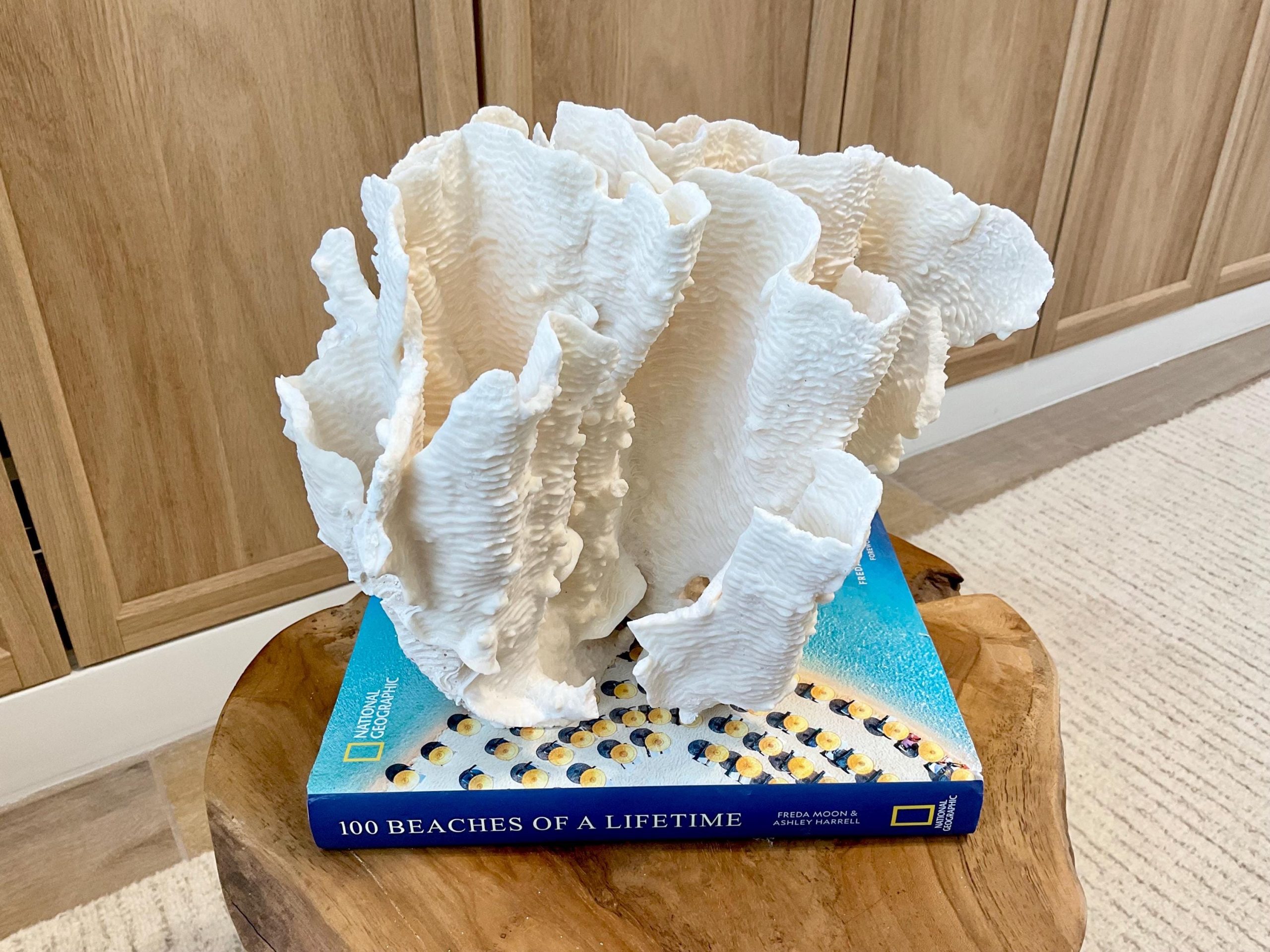 Natural Rugosa Coral Fossil Specimen: 10"x9.5"x7.5" Coastal Beach Home Décor - Image 5