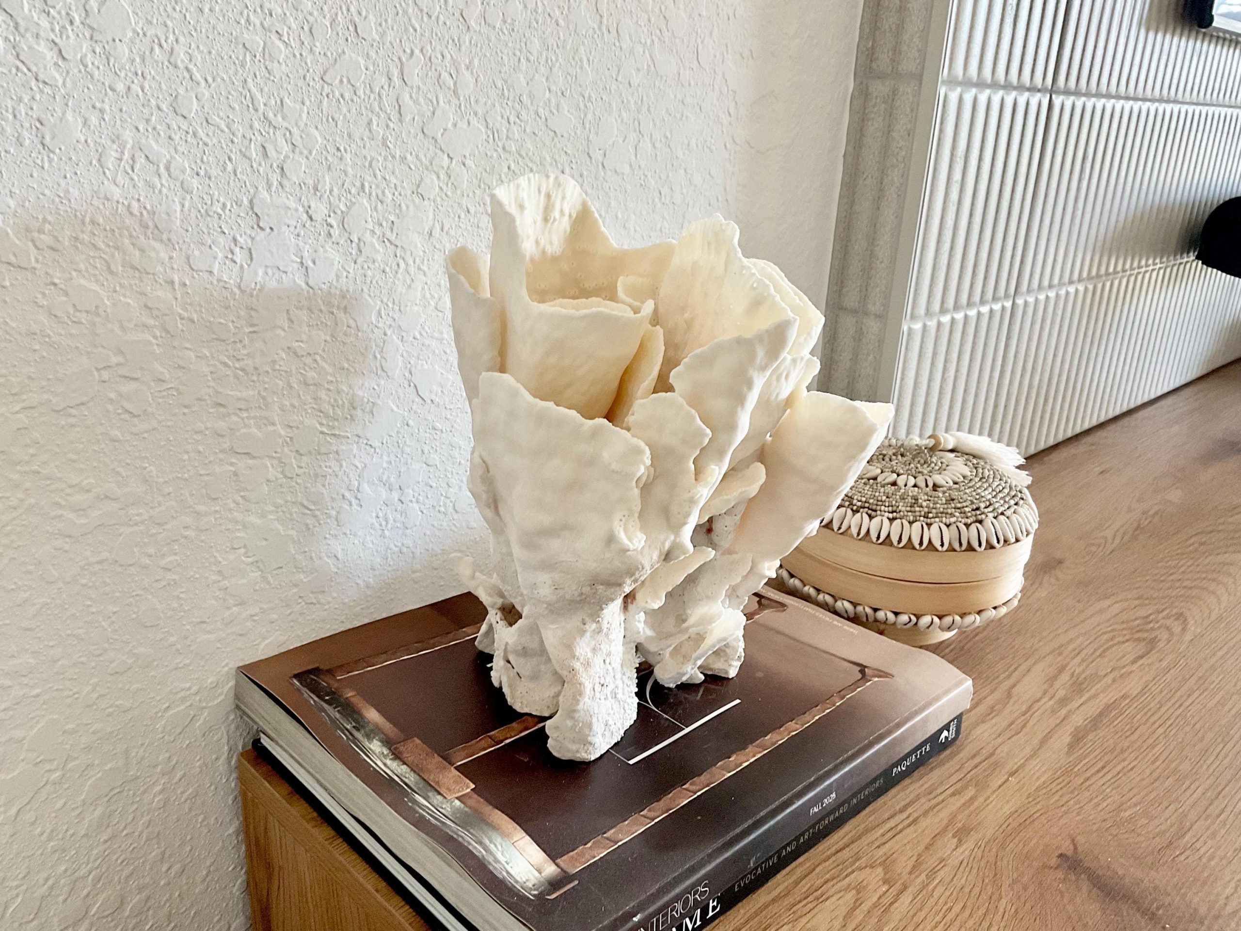 Natural Spiral Cup Coral Fossil Specimen: 9x7.5x8" Beach House Coastal Décor - Image 6