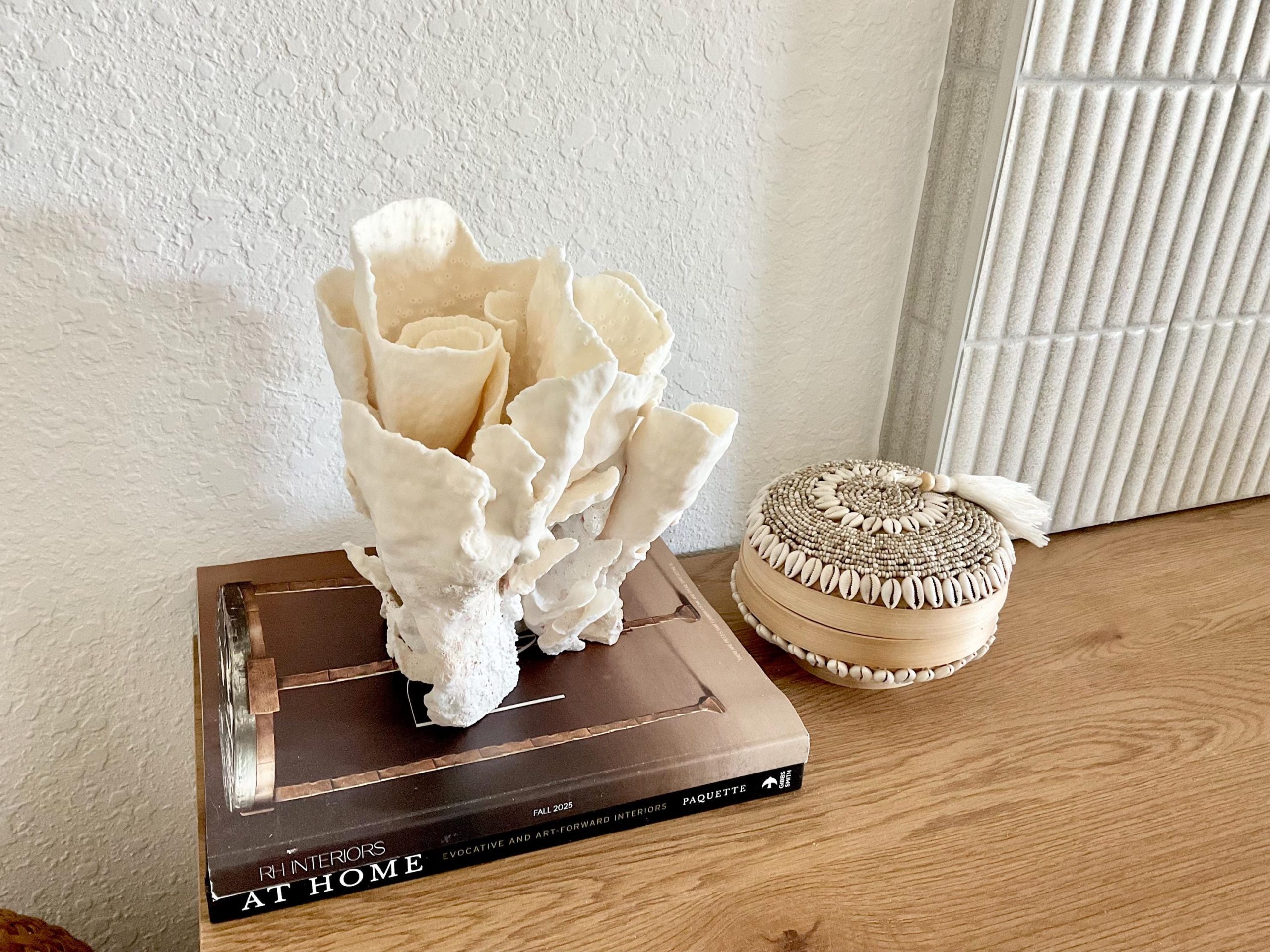 Natural Spiral Cup Coral Fossil Specimen: 9x7.5x8" Beach House Coastal Décor - Image 7