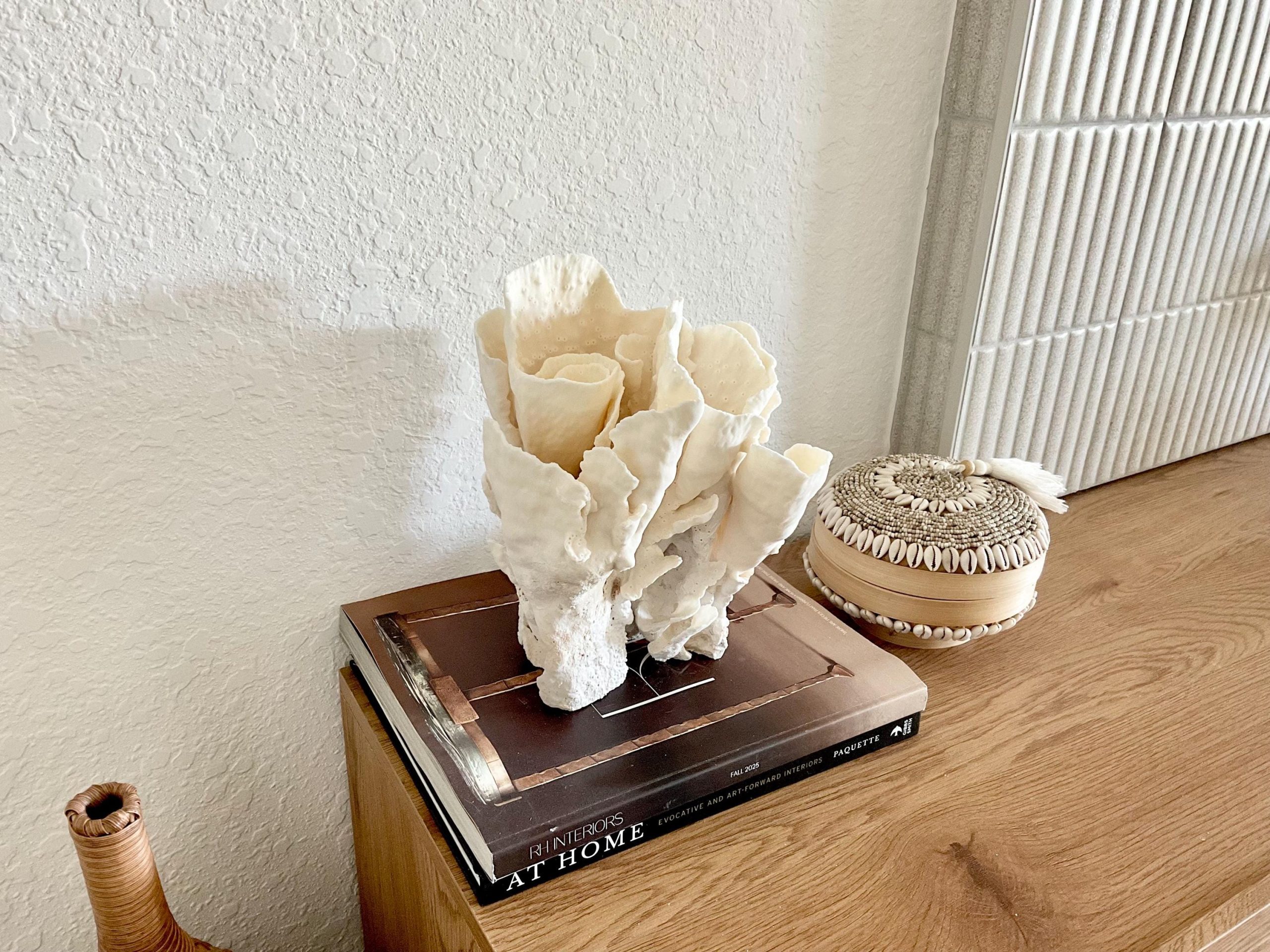 Natural Spiral Cup Coral Fossil Specimen: 9x7.5x8" Beach House Coastal Décor - Image 8