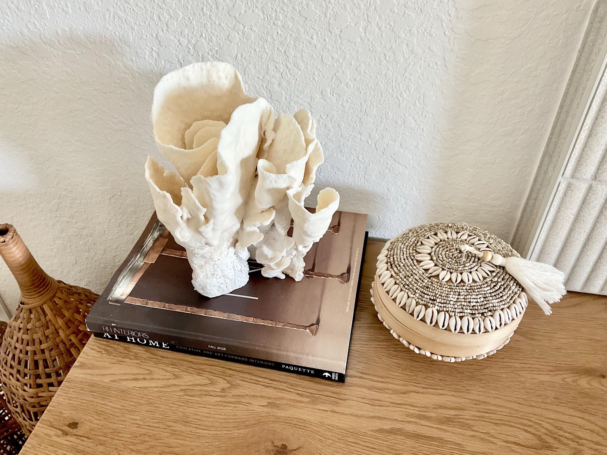 Natural Spiral Cup Coral Fossil Specimen: 9x7.5x8" Beach House Coastal Décor - Image 5