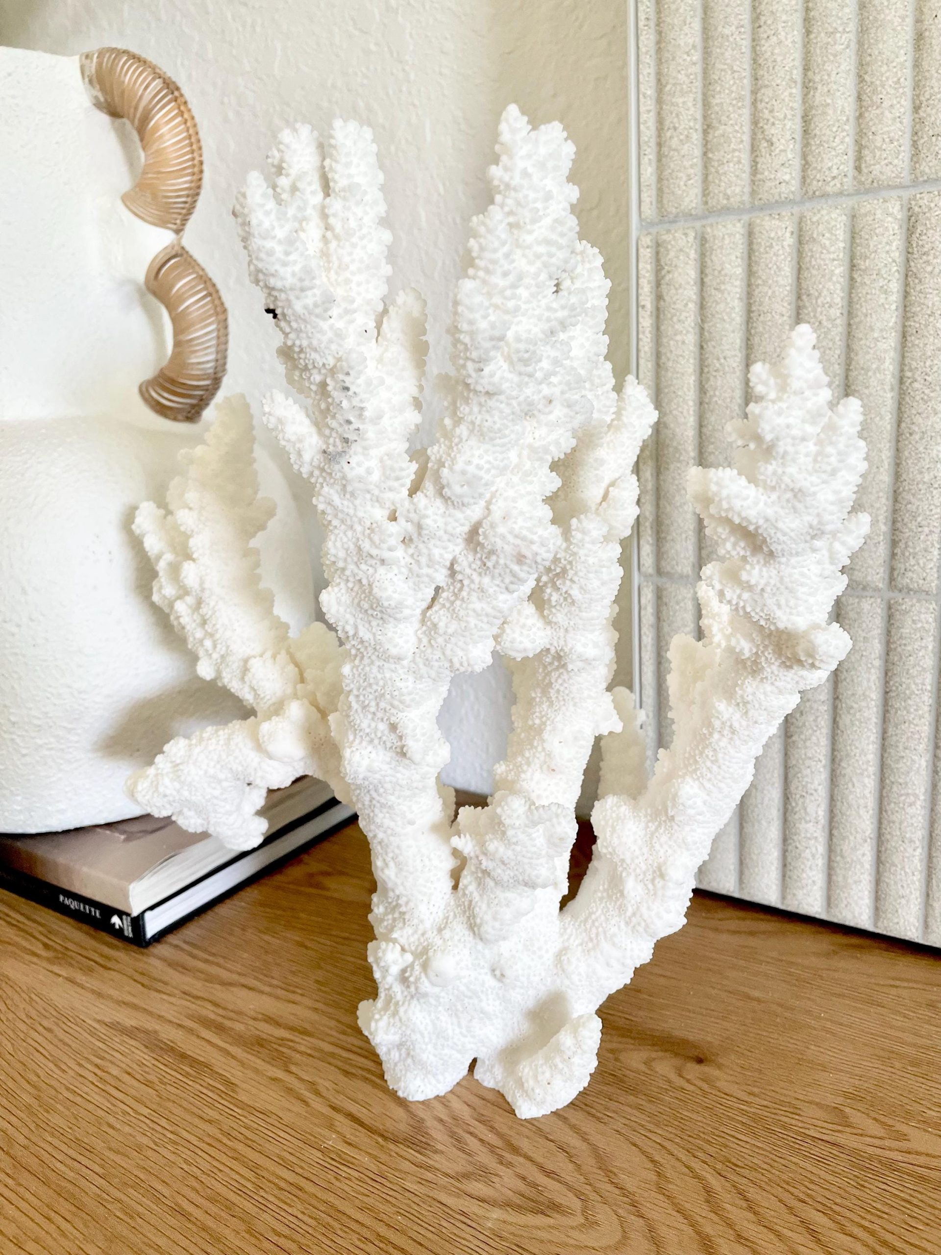 Branch Coral Fossil Specimen: 13" x 12"x 8" Coastal Beach House Décor - Image 7