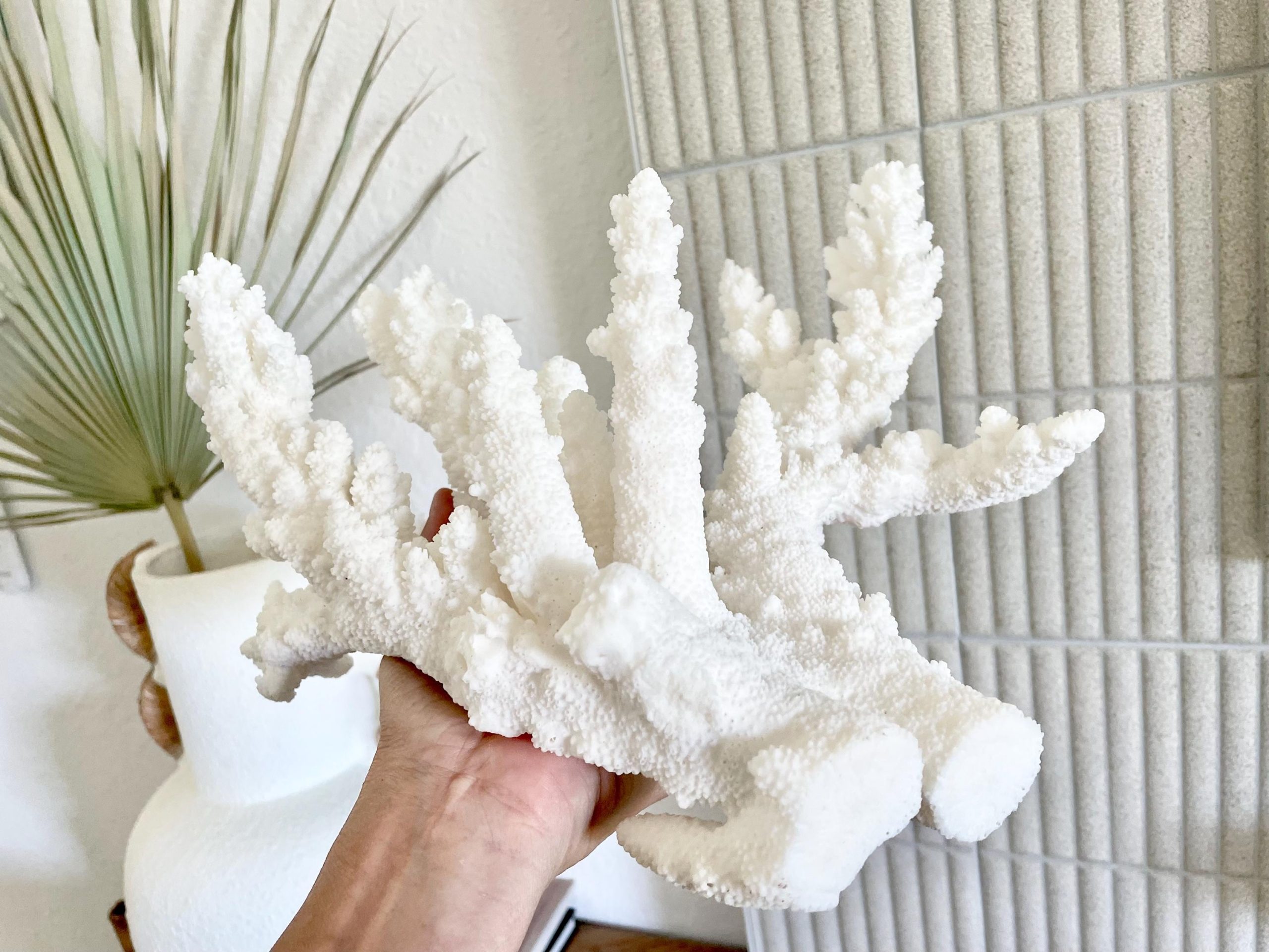 Branch Coral Fossil Specimen: 13" x 12"x 8" Coastal Beach House Décor - Image 10