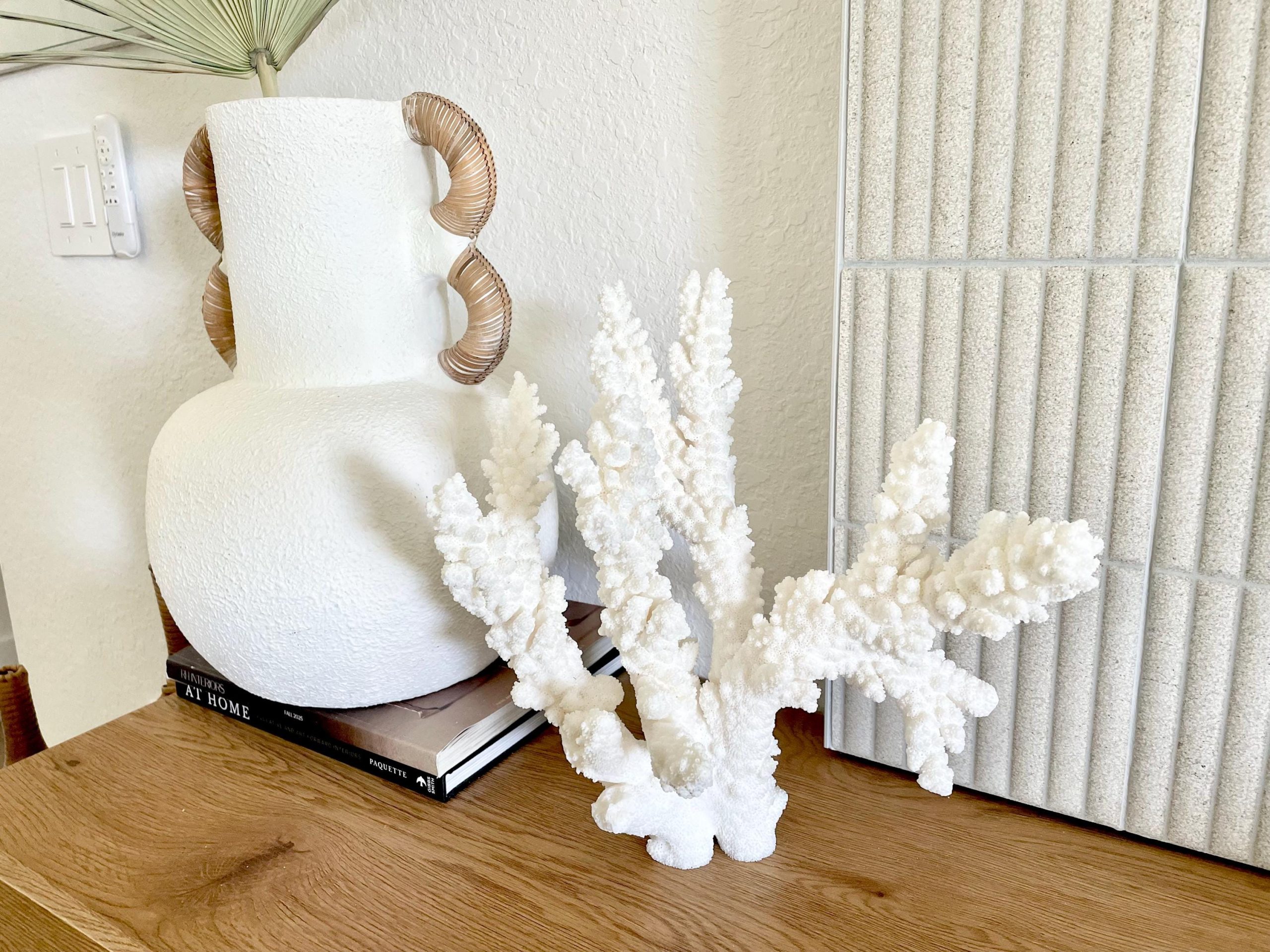 Branch Coral Fossil Specimen: 13" x 12"x 8" Coastal Beach House Décor - Image 6