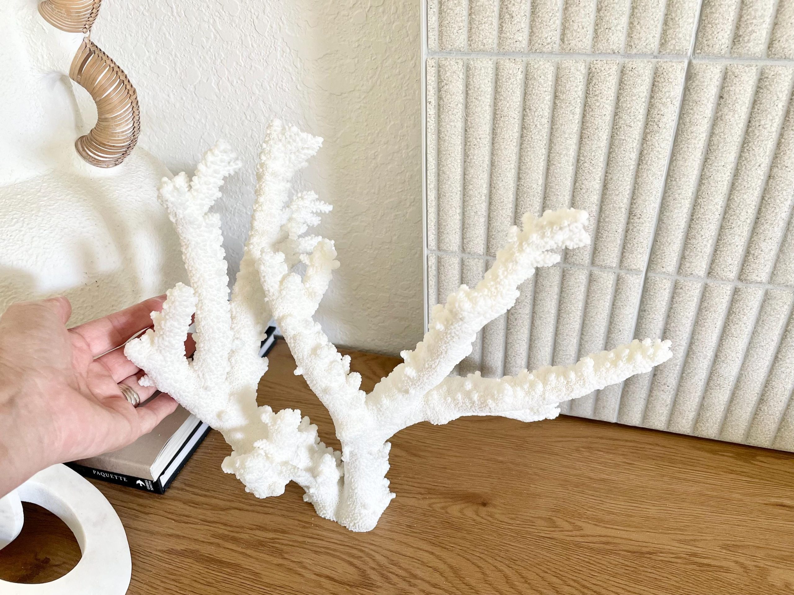 Branch Coral Fossil Specimen: 13.75" x 13"x 9.5" Coastal Beach House Décor - Image 3