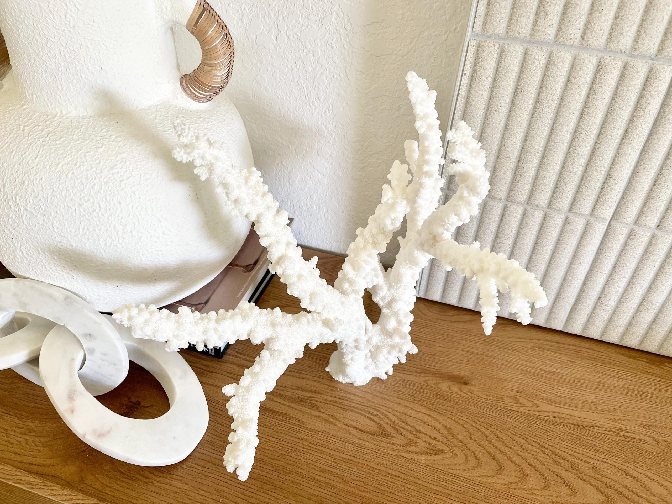 Branch Coral Fossil Specimen: 13.75" x 13"x 9.5" Coastal Beach House Décor - Image 7