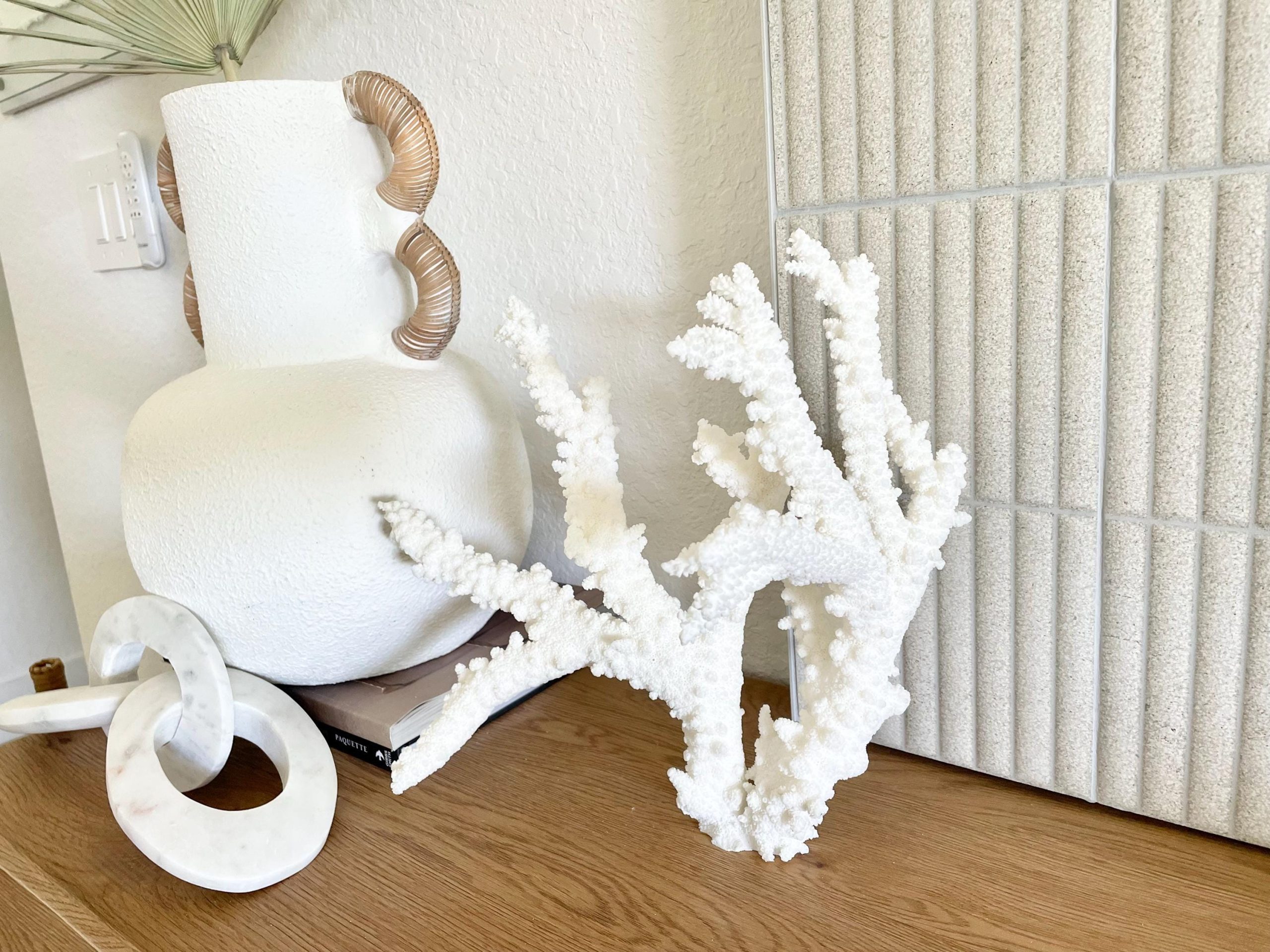 Branch Coral Fossil Specimen: 13.75" x 13"x 9.5" Coastal Beach House Décor - Image 11