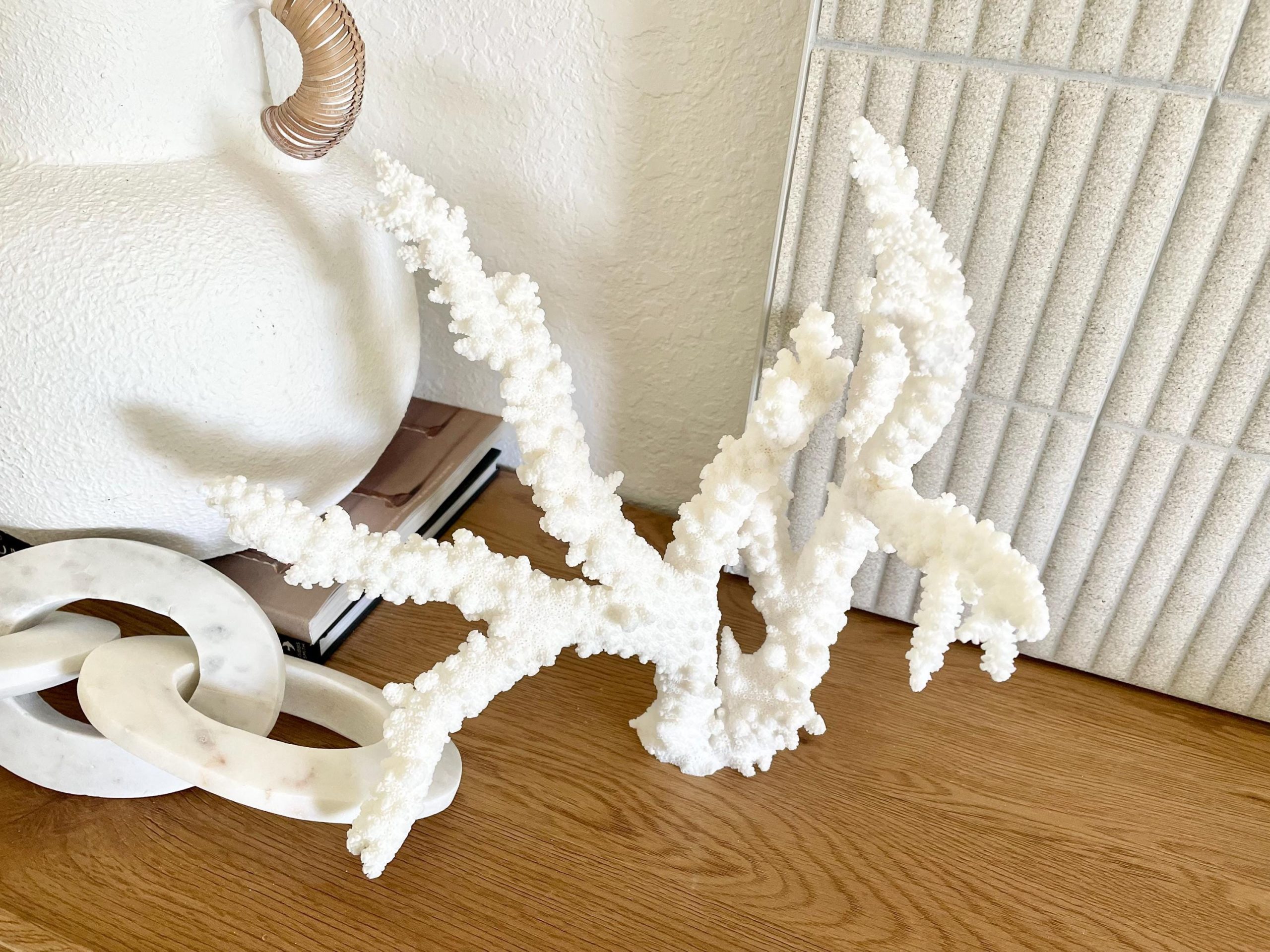 Branch Coral Fossil Specimen: 13.75" x 13"x 9.5" Coastal Beach House Décor - Image 12