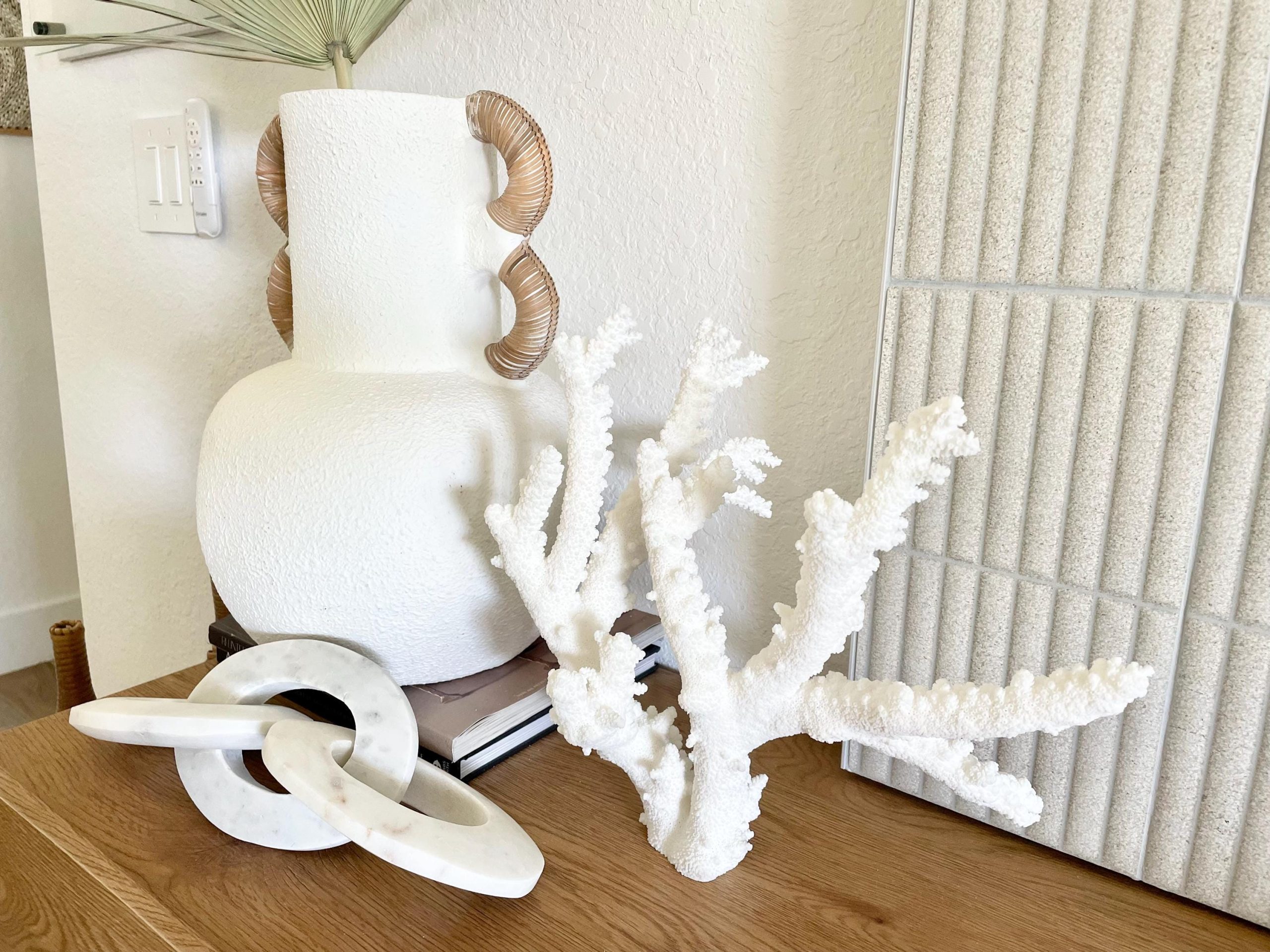 Branch Coral Fossil Specimen: 13.75" x 13"x 9.5" Coastal Beach House Décor - Image 13