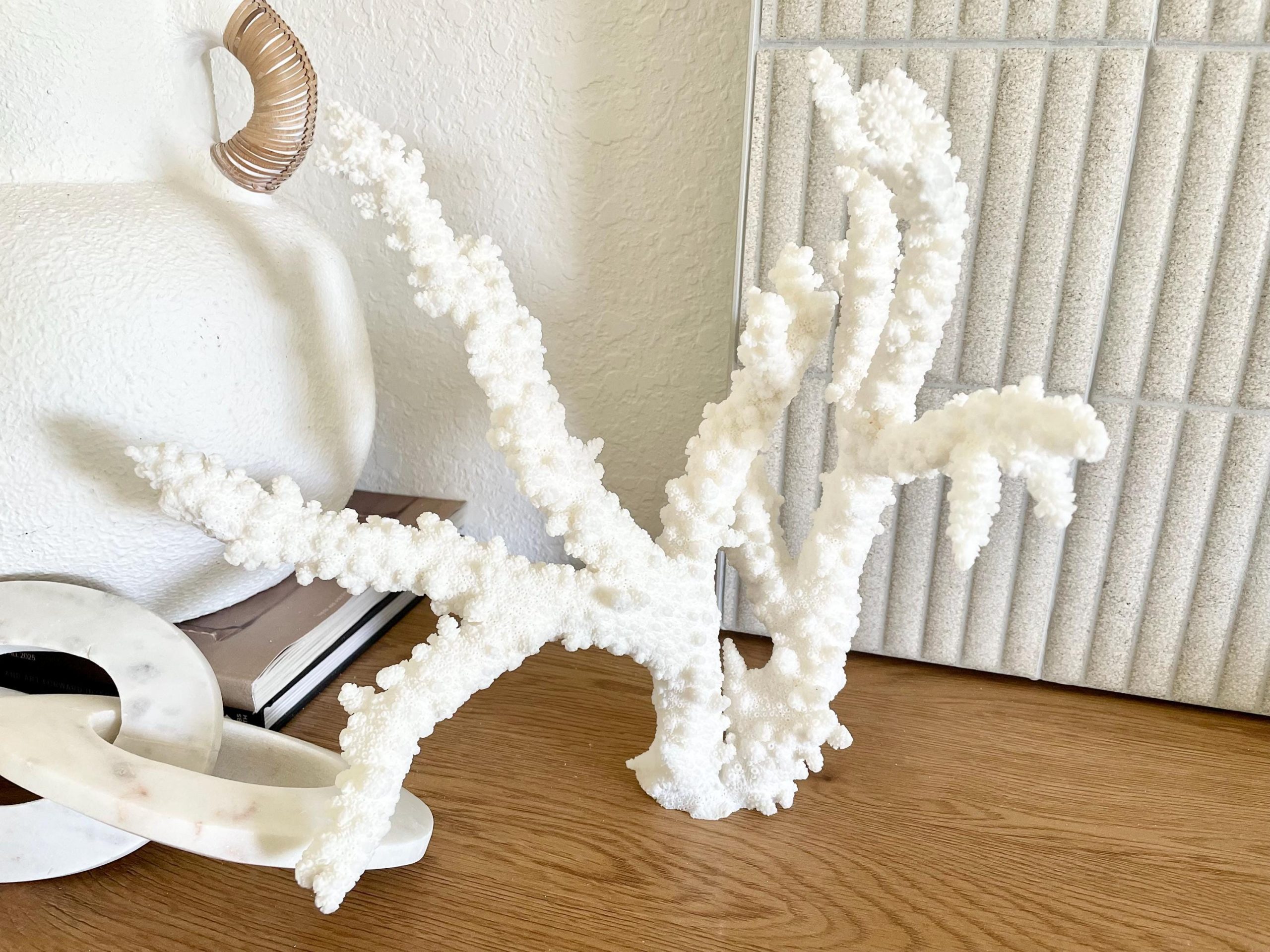 Branch Coral Fossil Specimen: 13.75" x 13"x 9.5" Coastal Beach House Décor - Image 15