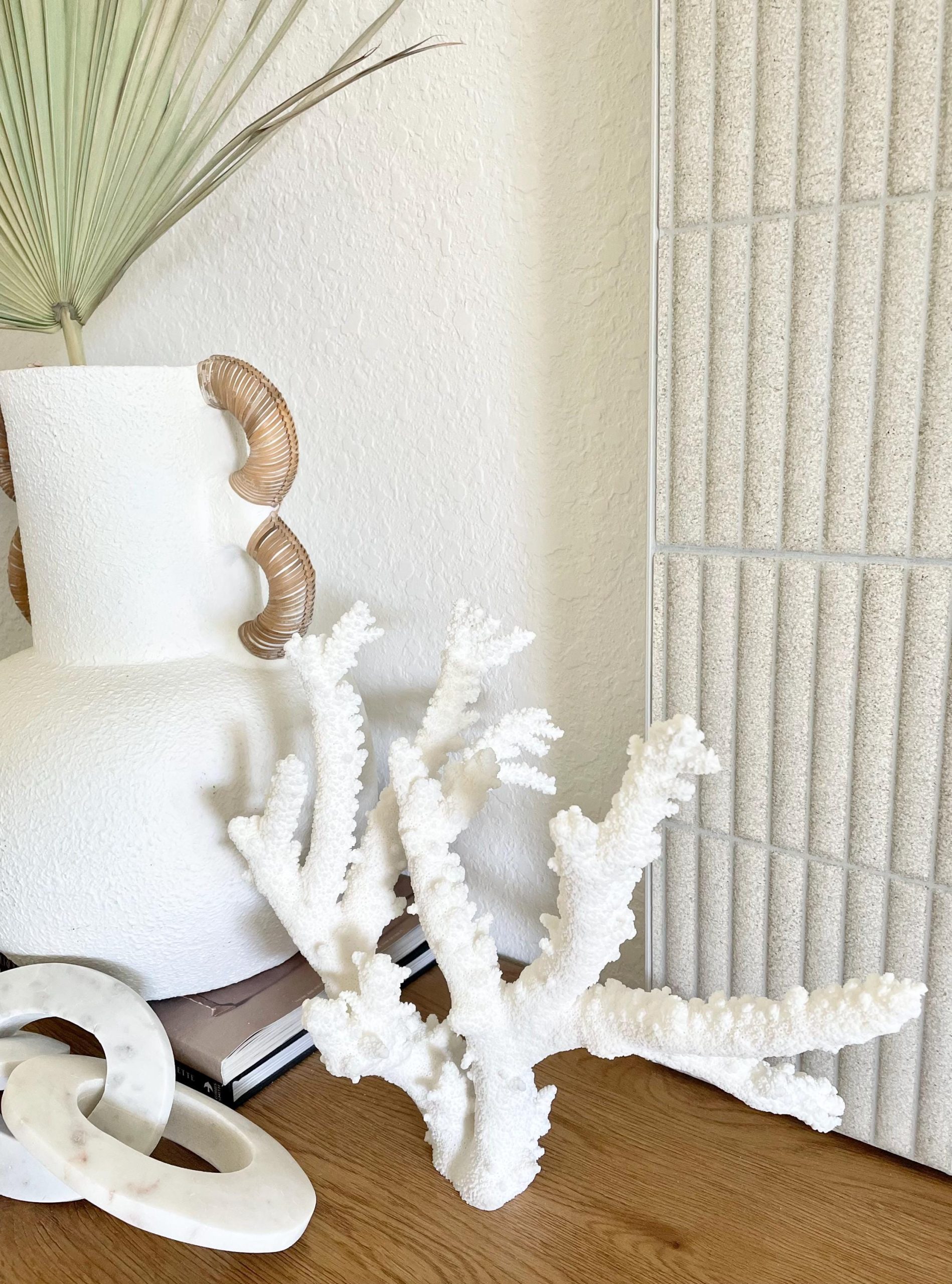 Branch Coral Fossil Specimen: 13.75" x 13"x 9.5" Coastal Beach House Décor - Image 16