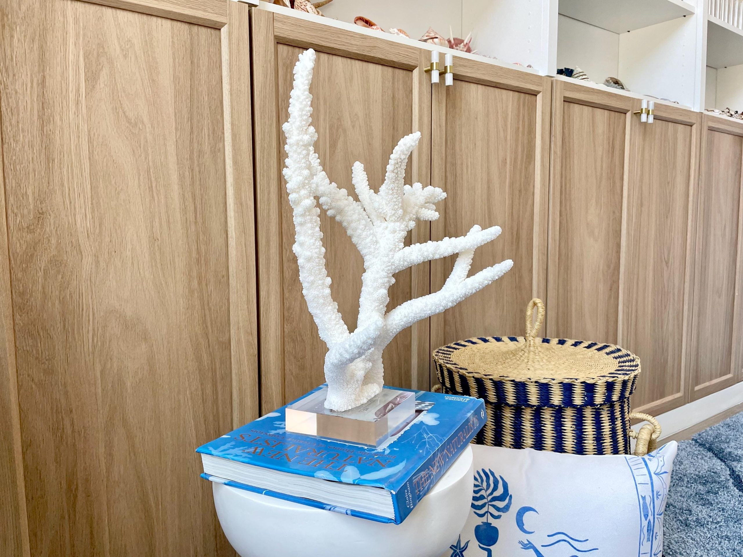 Mounted BRANCH CORAL 14.5" x 12" x 8.5" Fossil Specimen Coastal Display Beach House Décor - Image 6