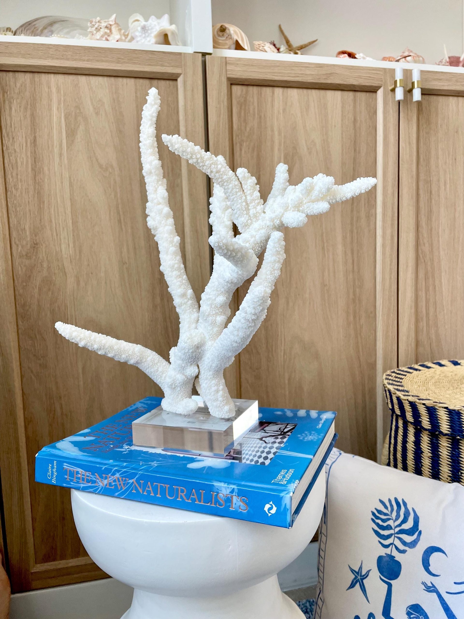 Mounted BRANCH CORAL 14.5" x 12" x 8.5" Fossil Specimen Coastal Display Beach House Décor - Image 10