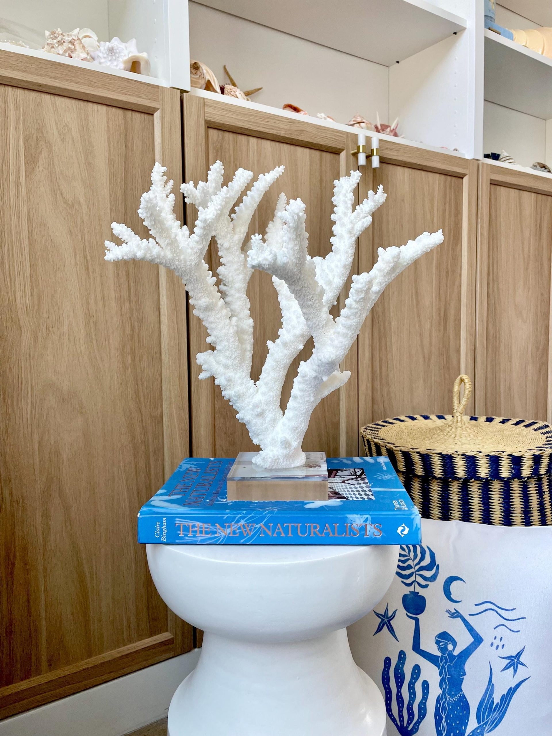 Mounted BRANCH CORAL 13.75" x 12" x 10" Fossil Specimen Coastal Display Beach House Décor - Image 14