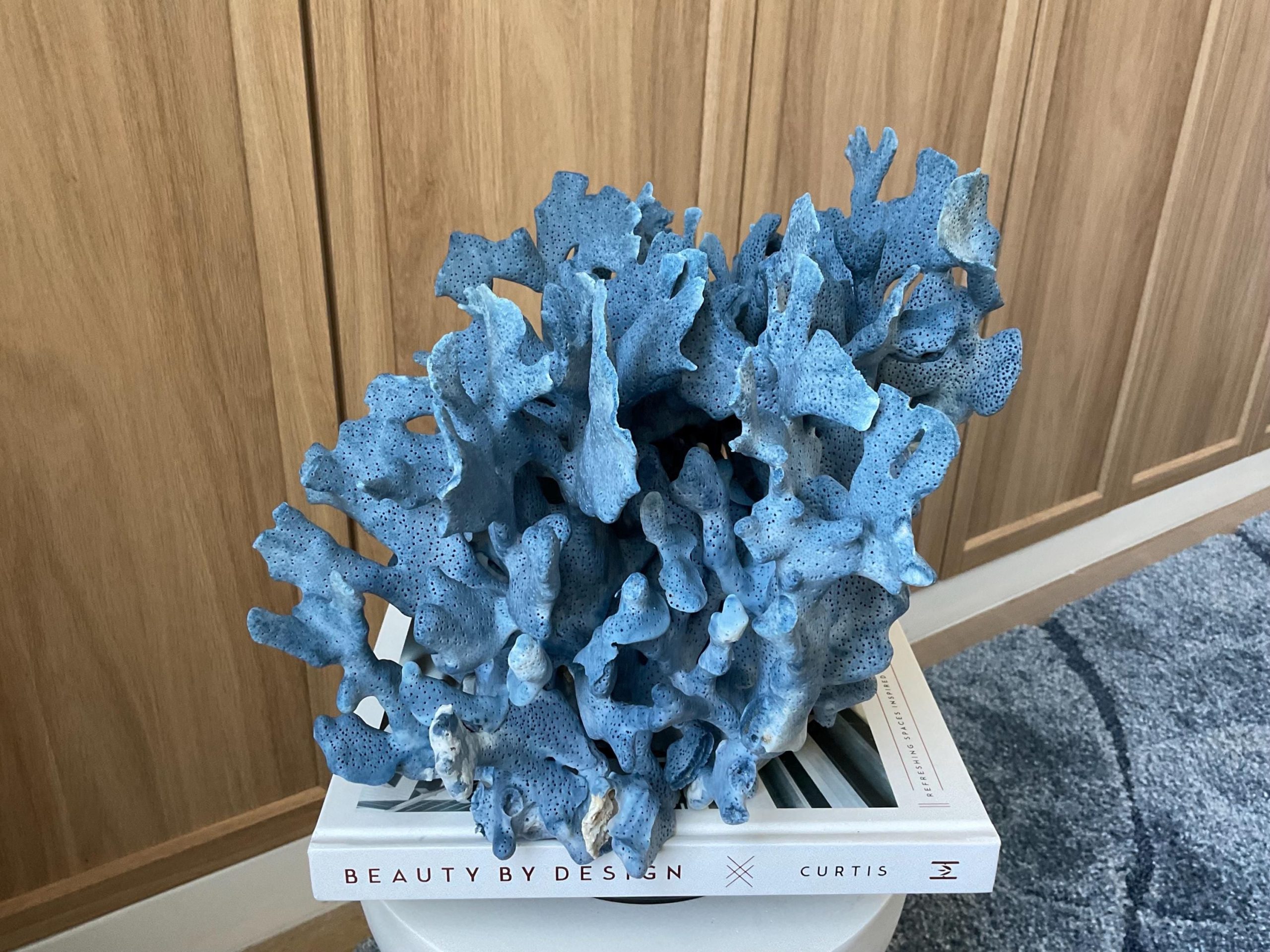 Blue Ridge Coral Fossil Specimen: 12.5" x 10" x 9" Coastal Beach House Décor - Image 8