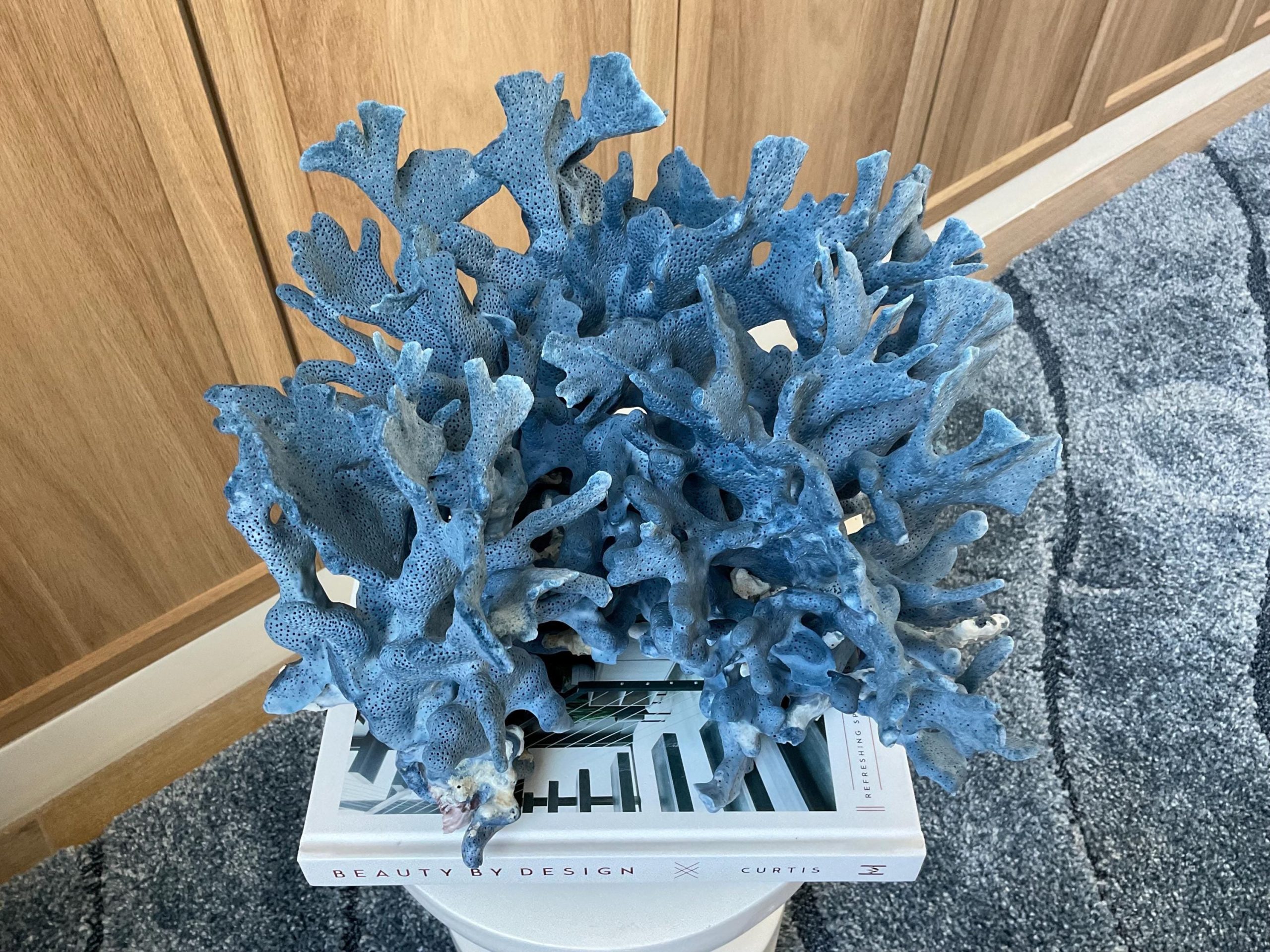 Blue Ridge Coral Fossil Specimen: 12.5" x 10" x 9" Coastal Beach House Décor - Image 2