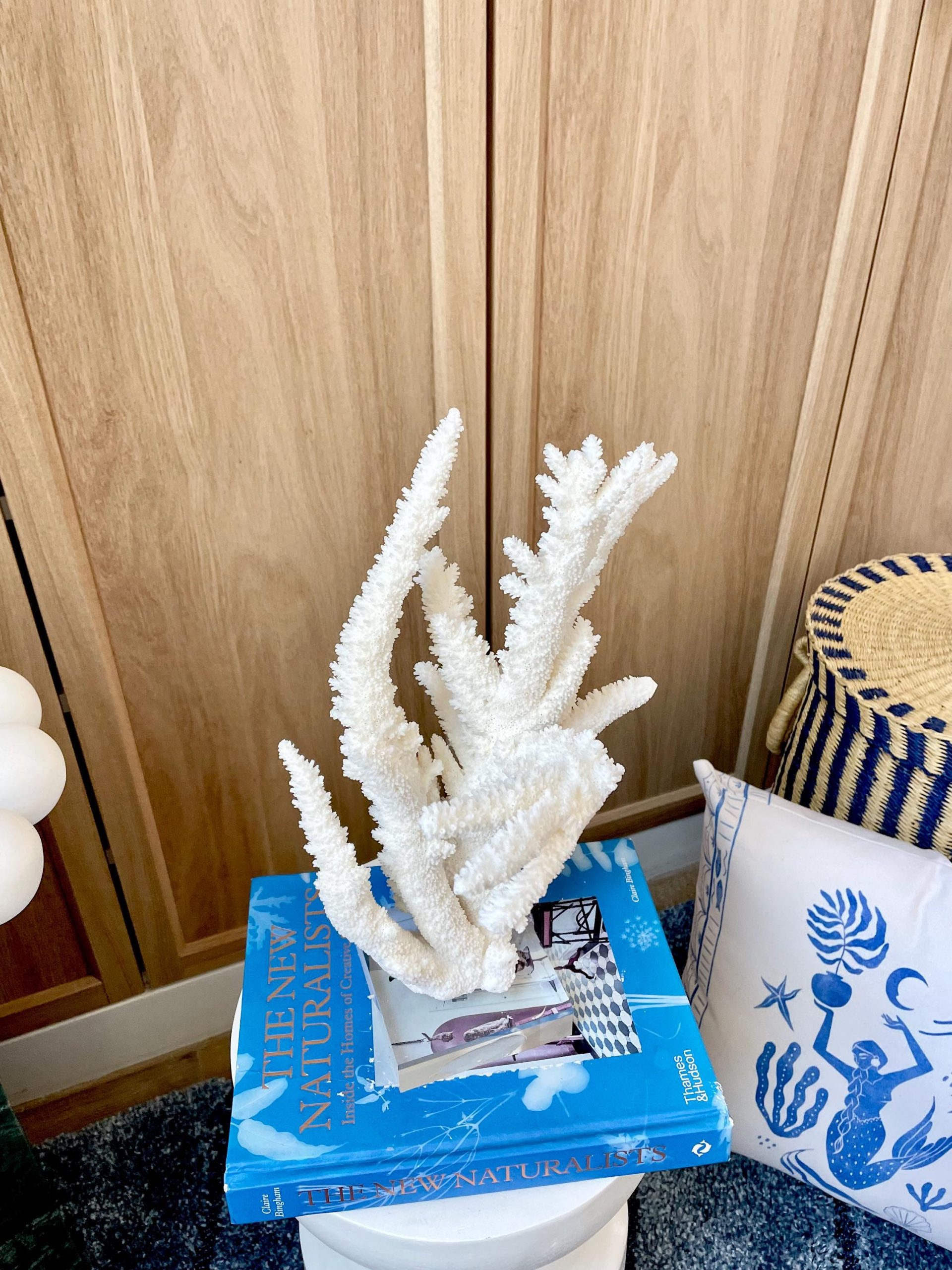 Mounted BRANCH CORAL 13.75" x 8.5" x 9" Fossil Specimen Coastal Display Beach House Décor - Image 3