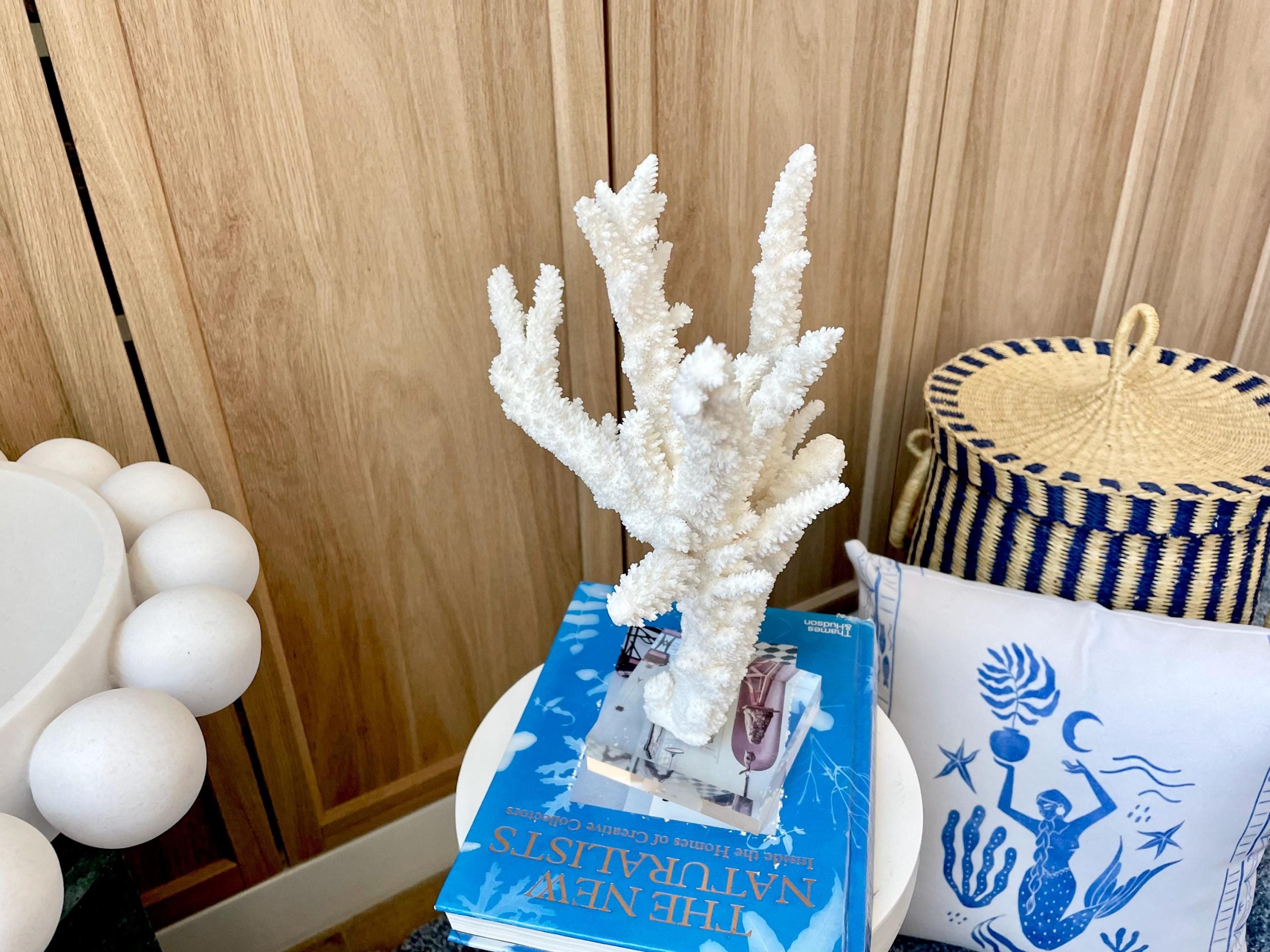 Mounted BRANCH CORAL 13.75" x 8.5" x 9" Fossil Specimen Coastal Display Beach House Décor - Image 10