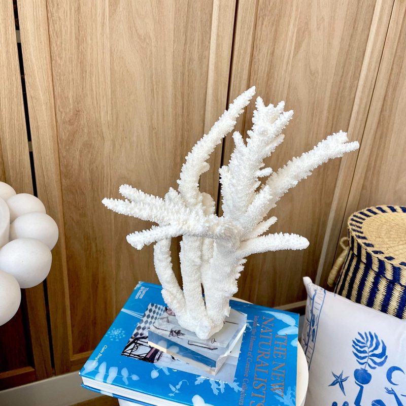 Mounted BRANCH CORAL 13.75" x 8.5" x 9" Fossil Specimen Coastal  Display Beach House Décor