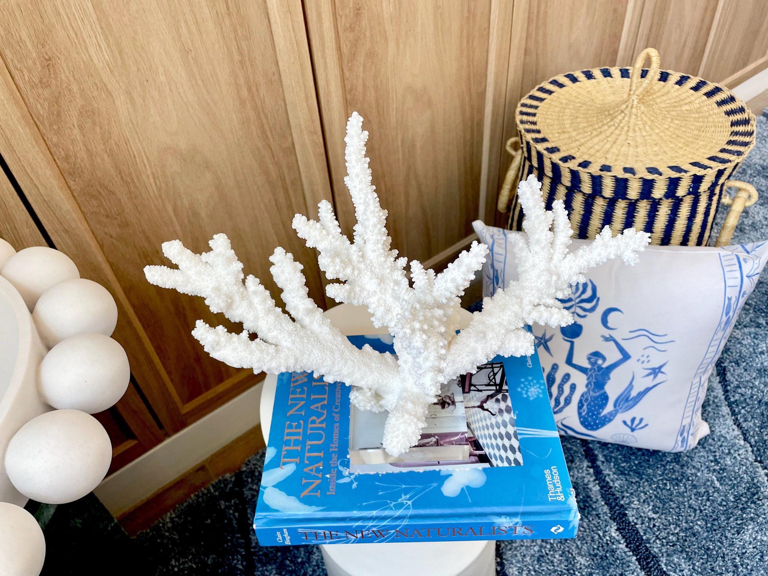 Mounted BRANCH CORAL 15" x 10.75" x 7.5" Fossil Specimen Coastal Display Beach House Décor - Image 2