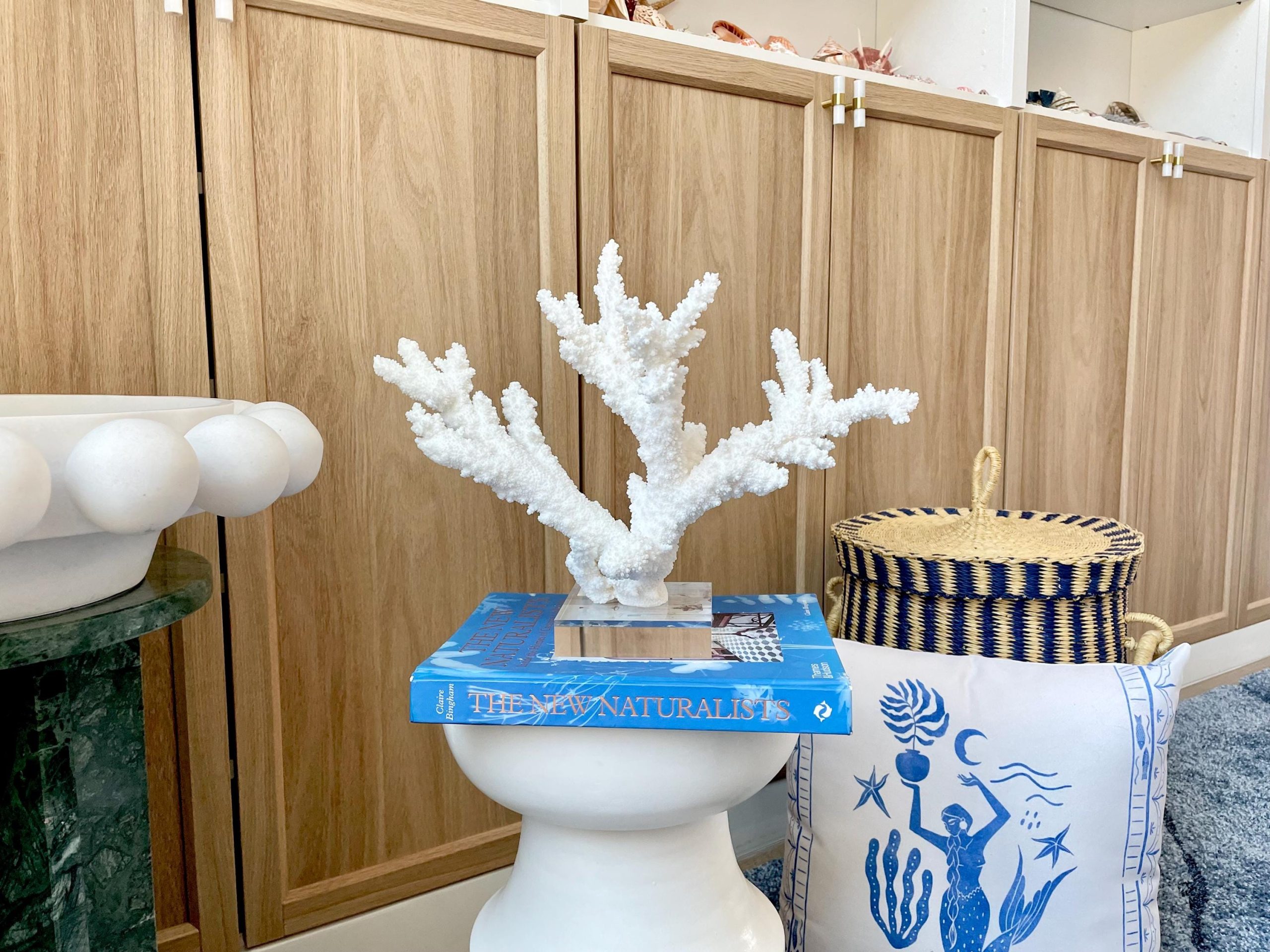 Mounted BRANCH CORAL 15" x 10.75" x 7.5" Fossil Specimen Coastal Display Beach House Décor - Image 4