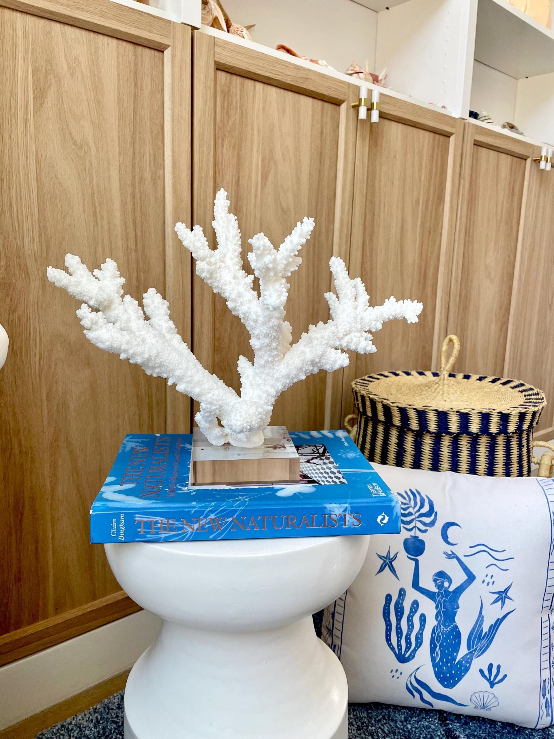 Mounted BRANCH CORAL 15" x 10.75" x 7.5" Fossil Specimen Coastal Display Beach House Décor - Image 12