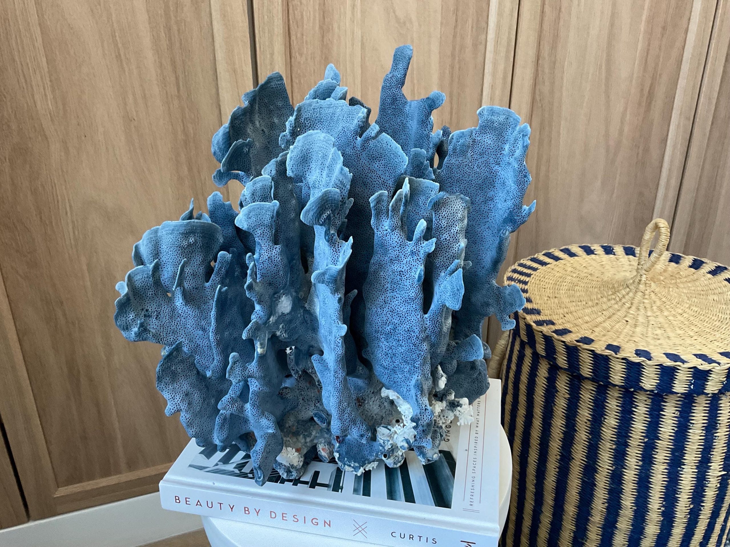 Blue Ridge Coral Fossil Specimen: 12" x 8" x 11.5" Coastal Beach House Décor - Image 2