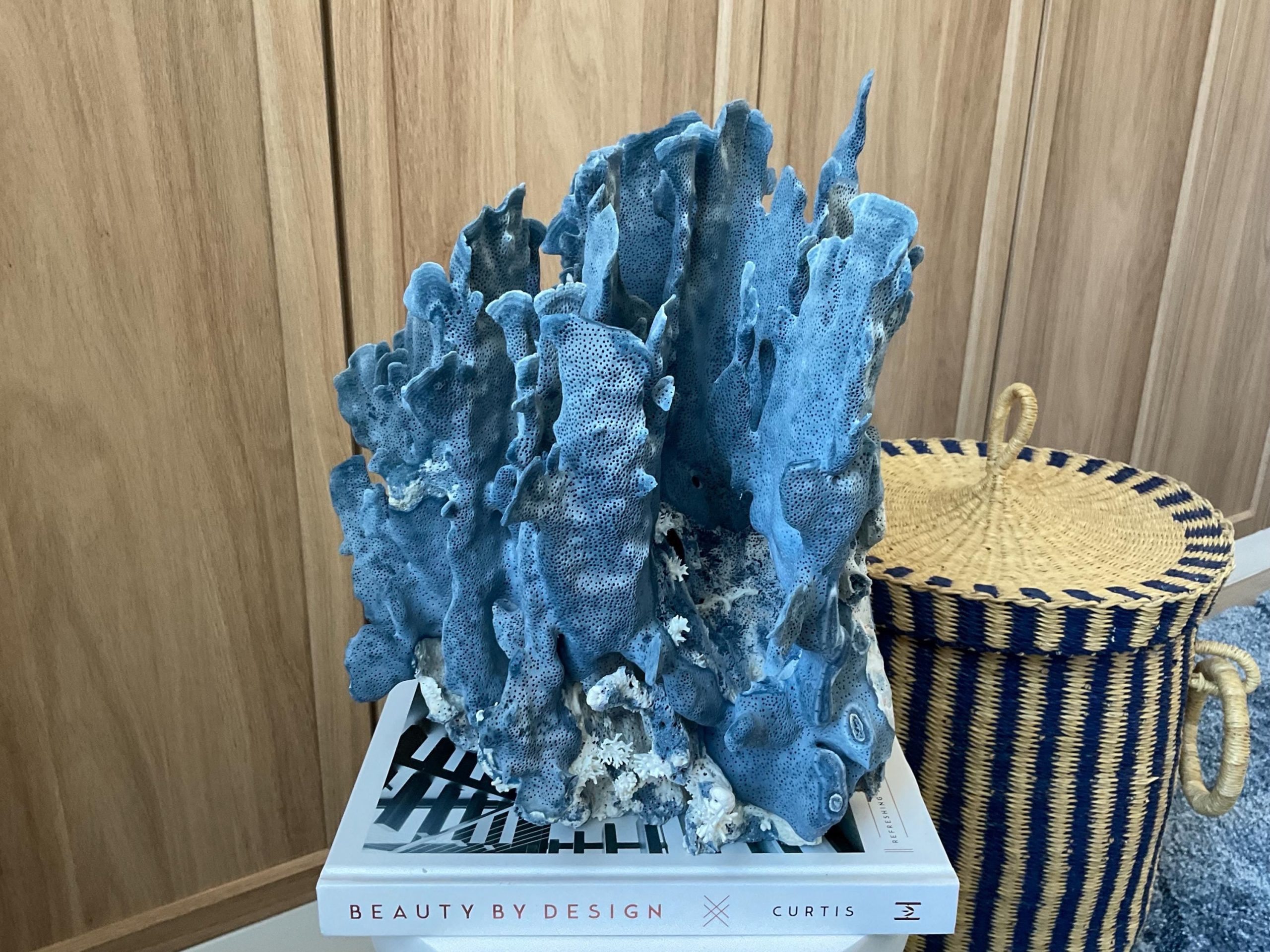 Blue Ridge Coral Fossil Specimen: 12" x 8" x 11.5" Coastal Beach House Décor - Image 3