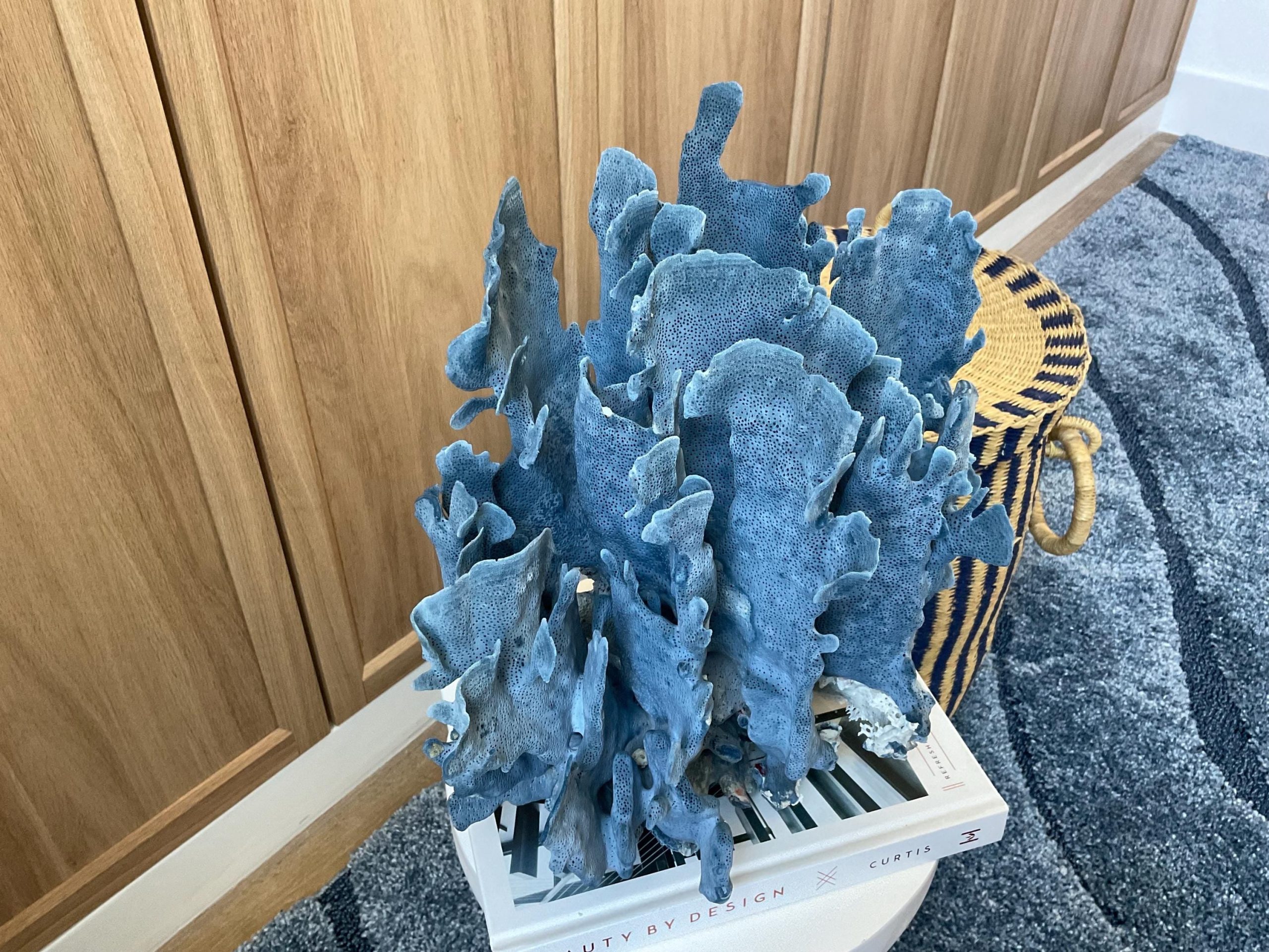 Blue Ridge Coral Fossil Specimen: 12" x 8" x 11.5" Coastal Beach House Décor - Image 8