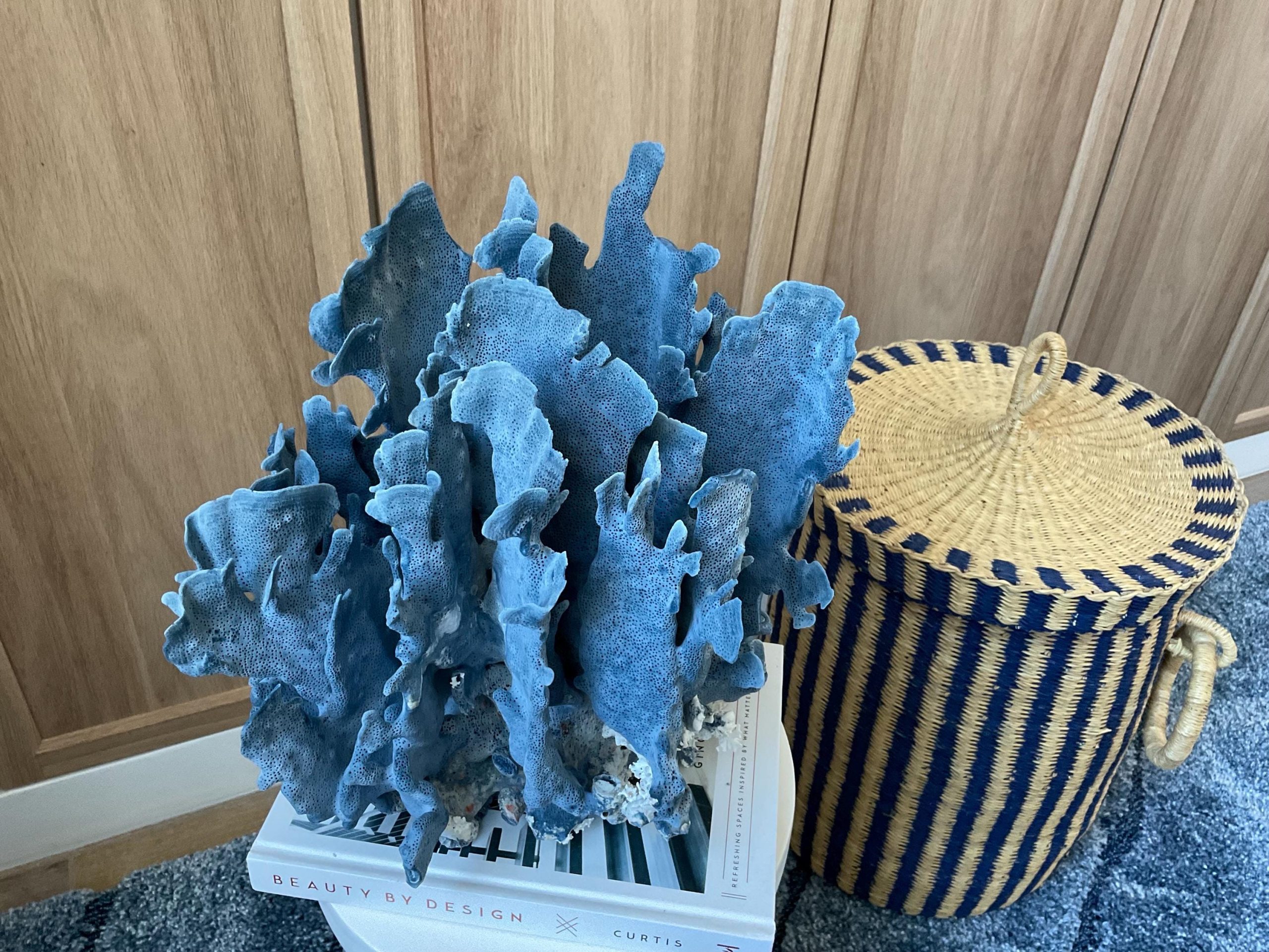 Blue Ridge Coral Fossil Specimen: 12" x 8" x 11.5" Coastal Beach House Décor - Image 6