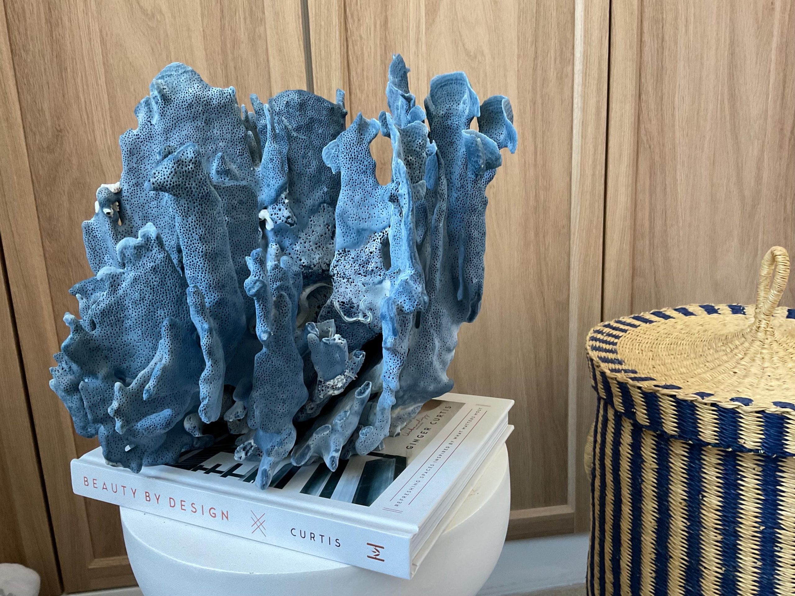 Blue Ridge Coral Fossil Specimen: 12" x 9" x 10" Coastal Beach House Décor - Image 7