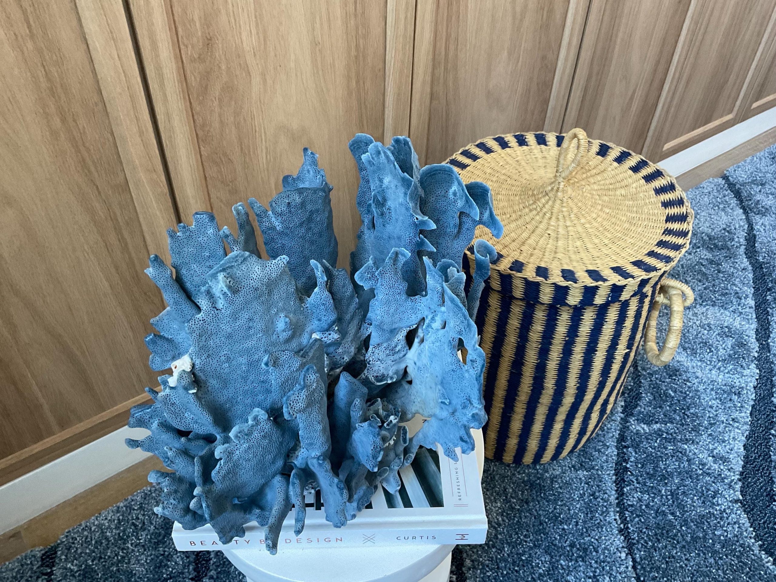 Blue Ridge Coral Fossil Specimen: 12" x 9" x 10" Coastal Beach House Décor - Image 11