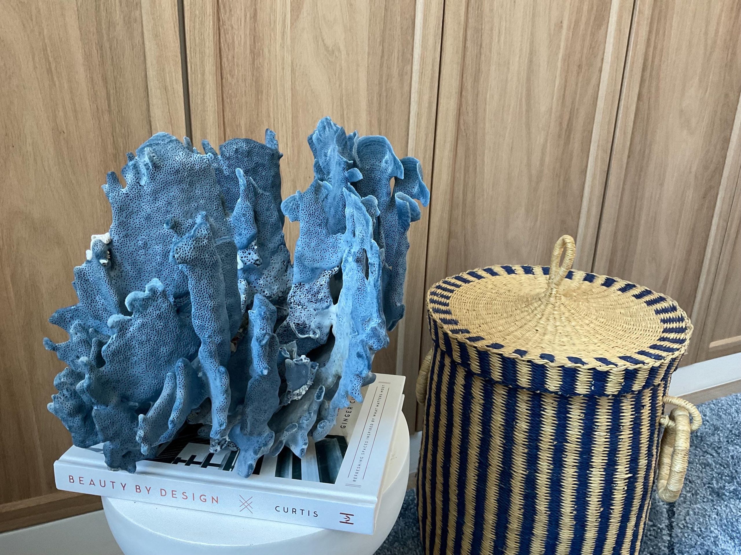 Blue Ridge Coral Fossil Specimen: 12" x 9" x 10" Coastal Beach House Décor - Image 2