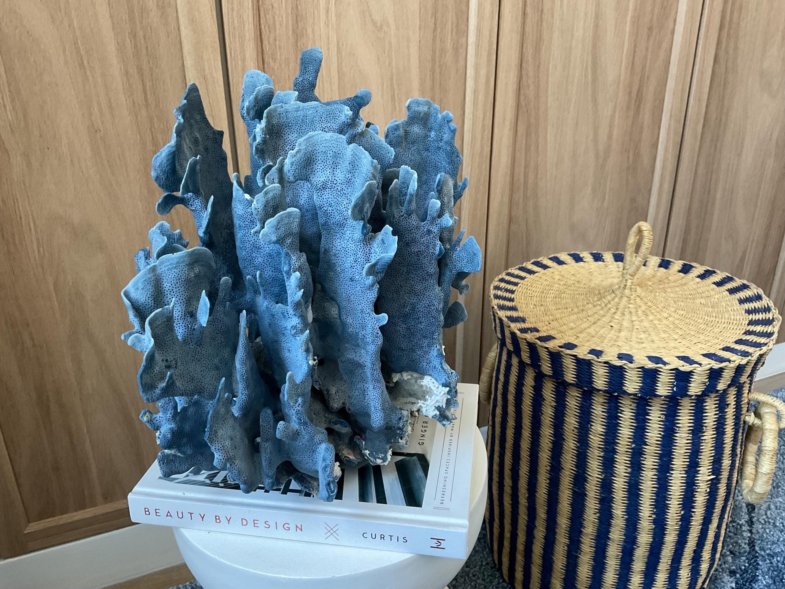 Blue Ridge Coral Fossil Specimen: 12" x 9" x 10" Coastal Beach House Décor - Image 5