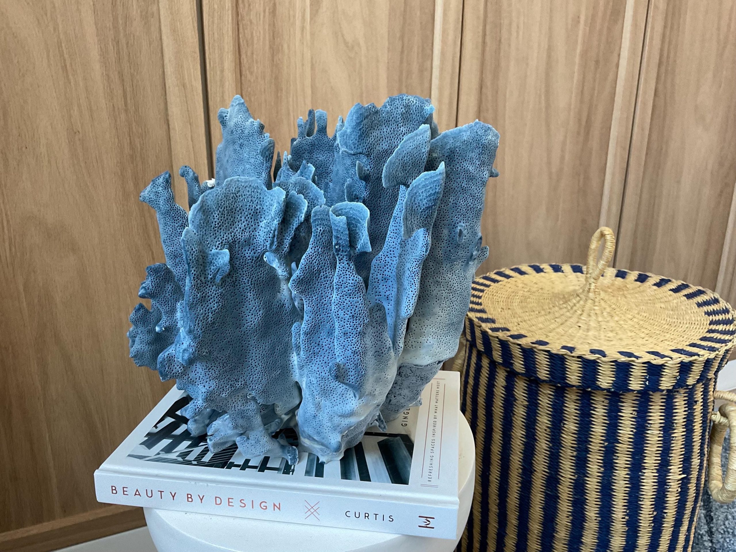 Blue Ridge Coral Fossil Specimen: 12" x 9" x 10" Coastal Beach House Décor - Image 3