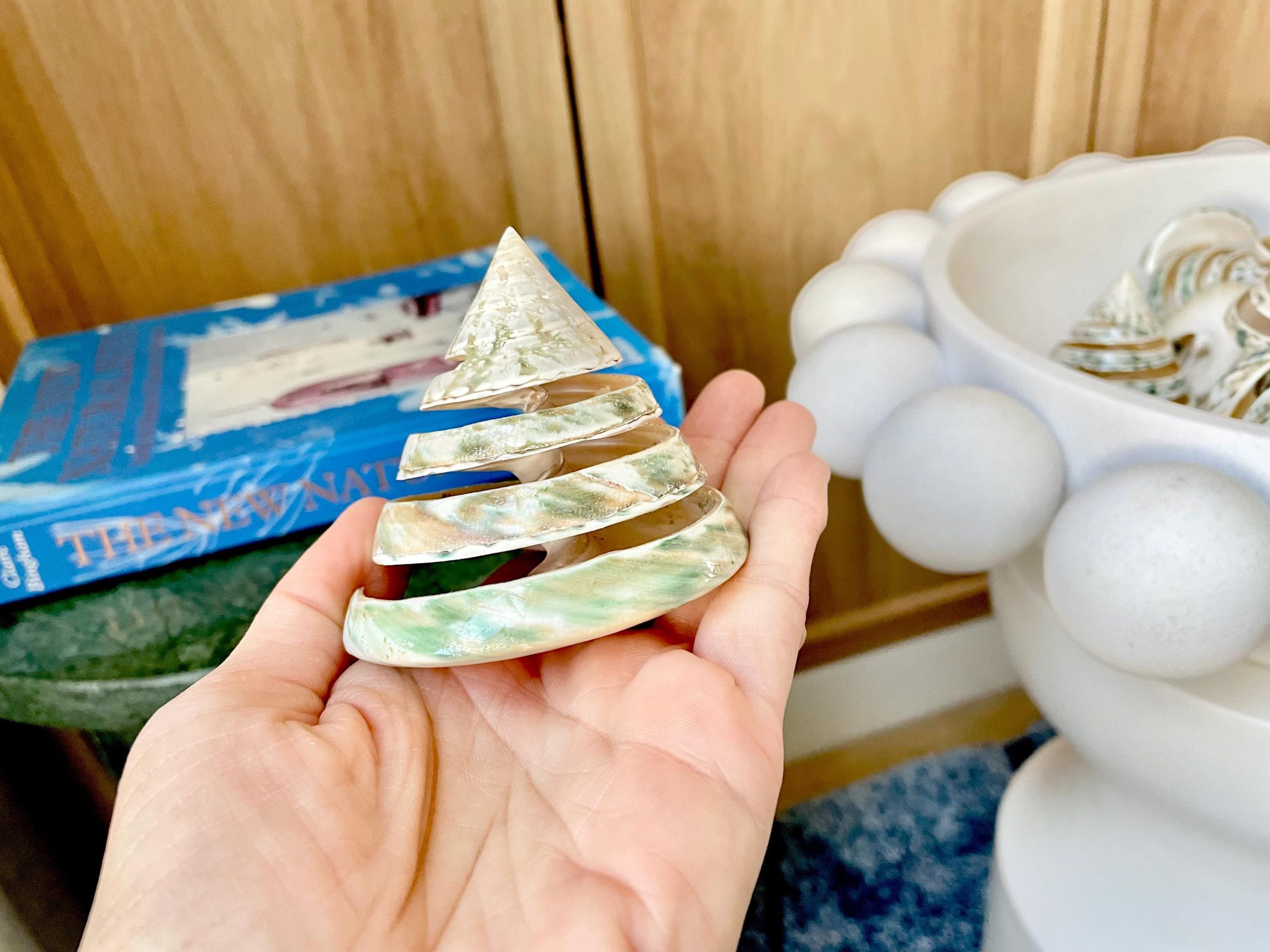 Green Spiral Cut Trochus Seashell: You Choose Size, Natural Shells Décor - Image 4