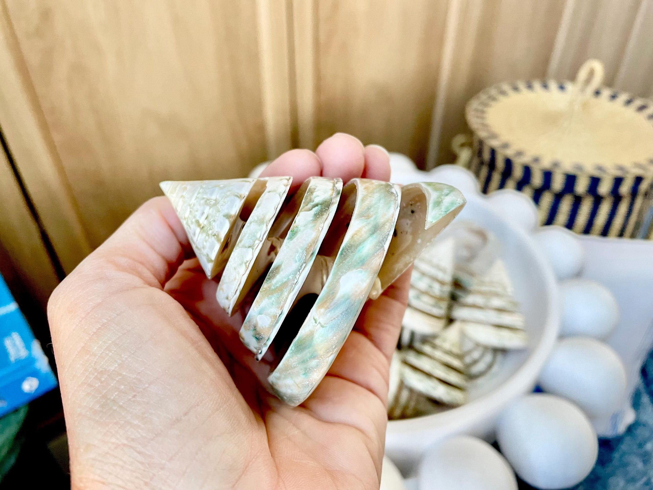 Green Spiral Cut Trochus Seashell: You Choose Size, Natural Shells Décor - Image 8