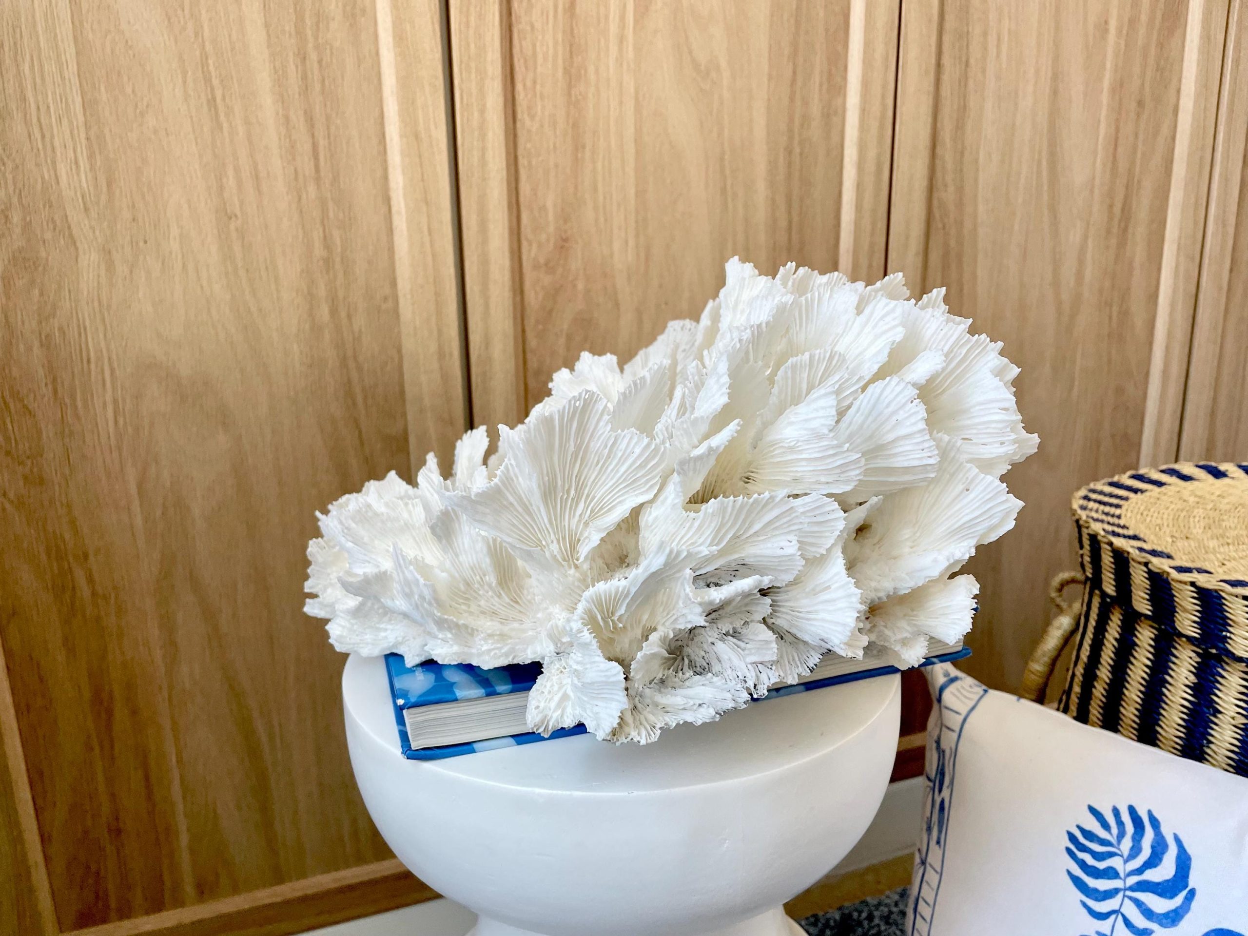 Natural Lettuce Coral Fossil: 15" x 13" x 6.5" Coastal Beach House White Décor - Image 7