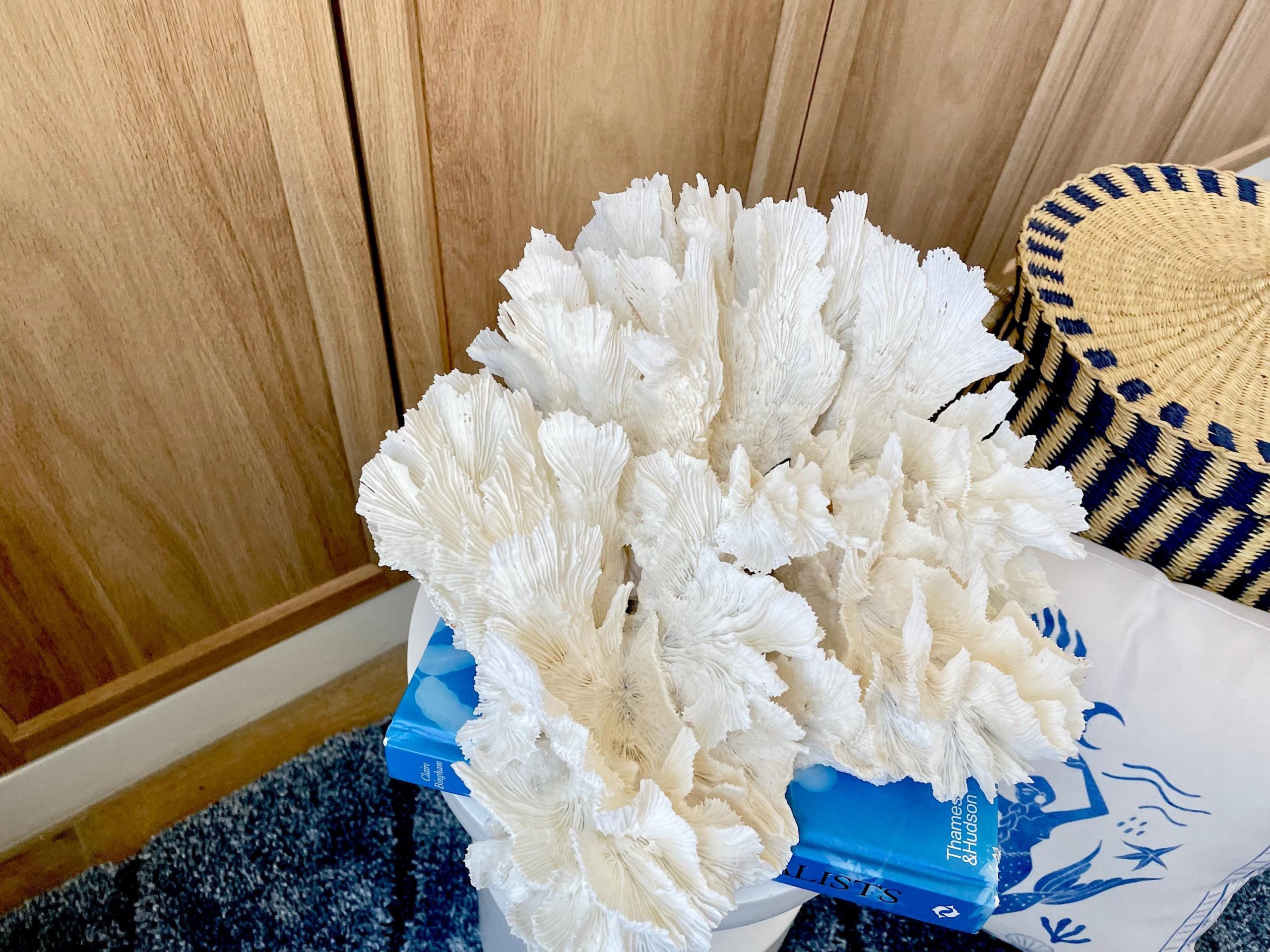 Natural Lettuce Coral Fossil: 15" x 13" x 6.5" Coastal Beach House White Décor - Image 11