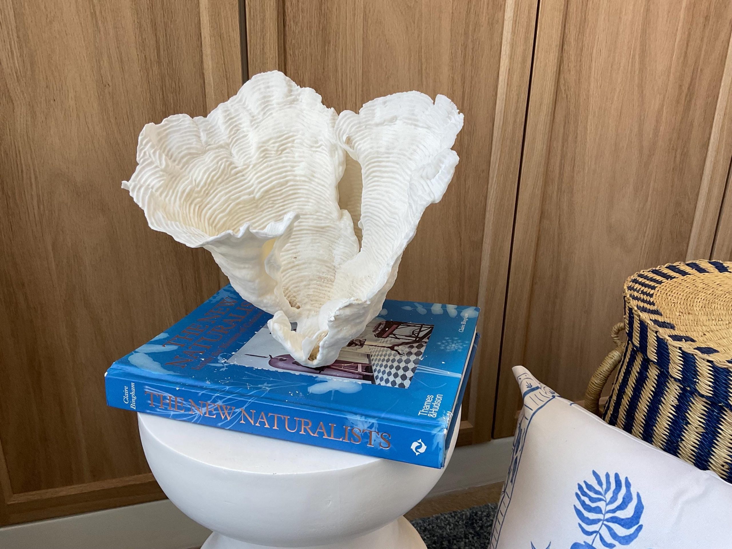 Cup Rugosa Coral Fossil Specimen: 9” x 8.5” x 8.5” Coastal Beach House Décor - Image 6