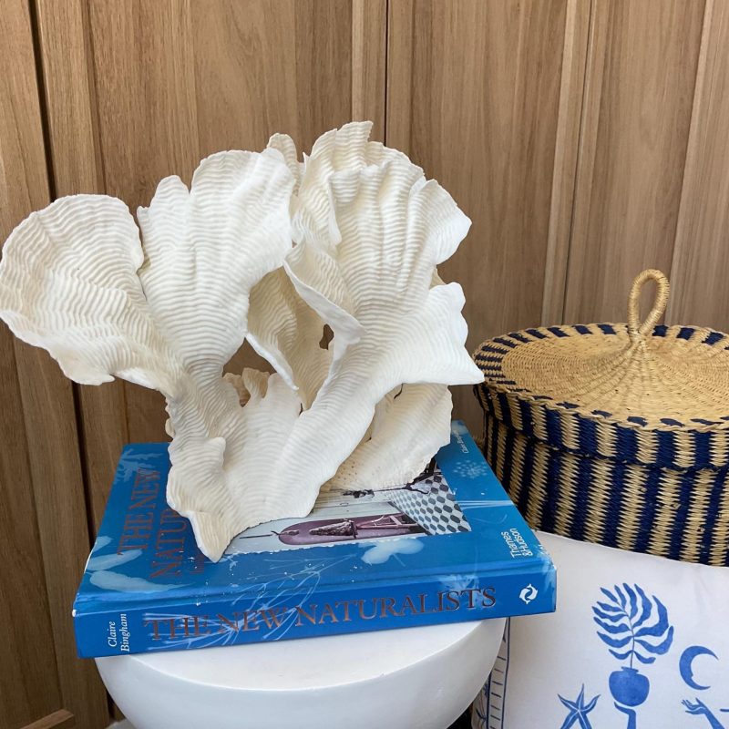 Cup Rugosa Coral Fossil Specimen: 12.5” x 9” x 6” Coastal Beach House Décor