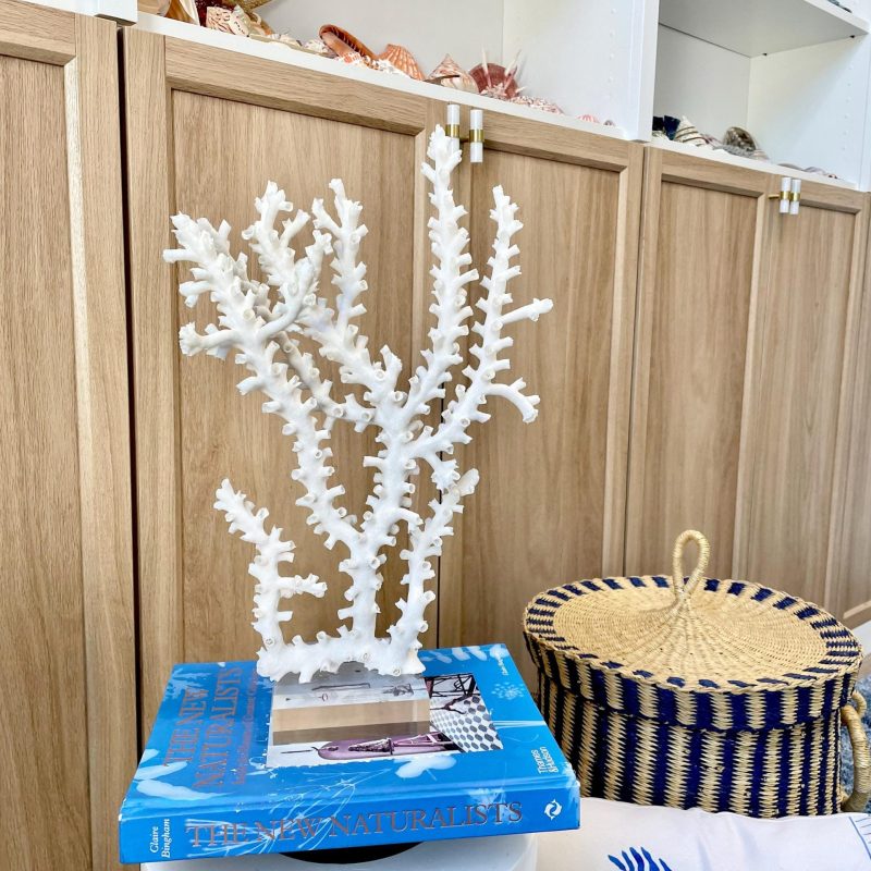 Mounted Octopus Coral Natural Fossil: 15.5"x10"x4" Coastal Beach Home Décor