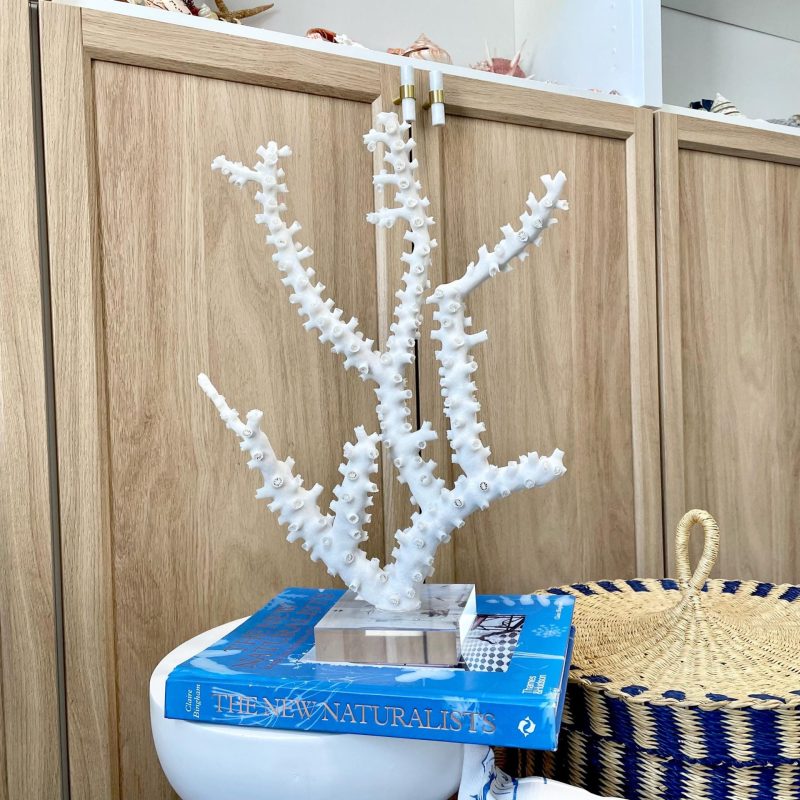 Mounted Octopus Coral Natural Fossil: 15"x10.5"x4" Coastal Beach Home Décor