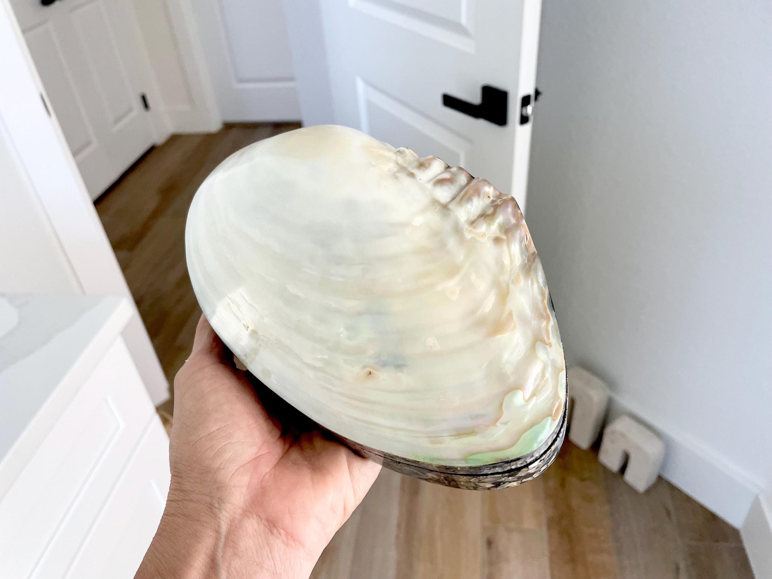 Handmade 8" Mussel Shell Jewelry Gift Box Iridescent Mother of Pearl Coastal Décor - Image 11